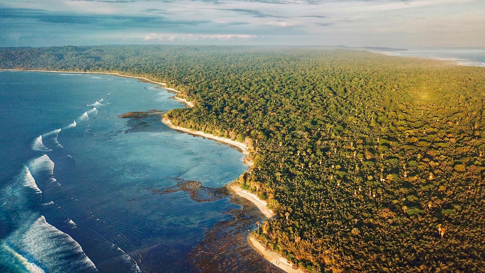 Aerial view of a jungle coastline meeting turquoise shallows