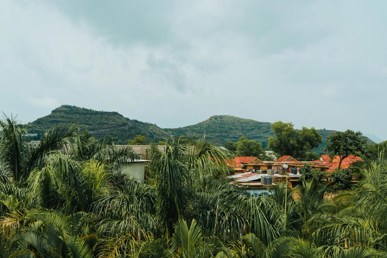 Lush landscape with palm trees and a village set against the picturesque hills of Saputara, India
