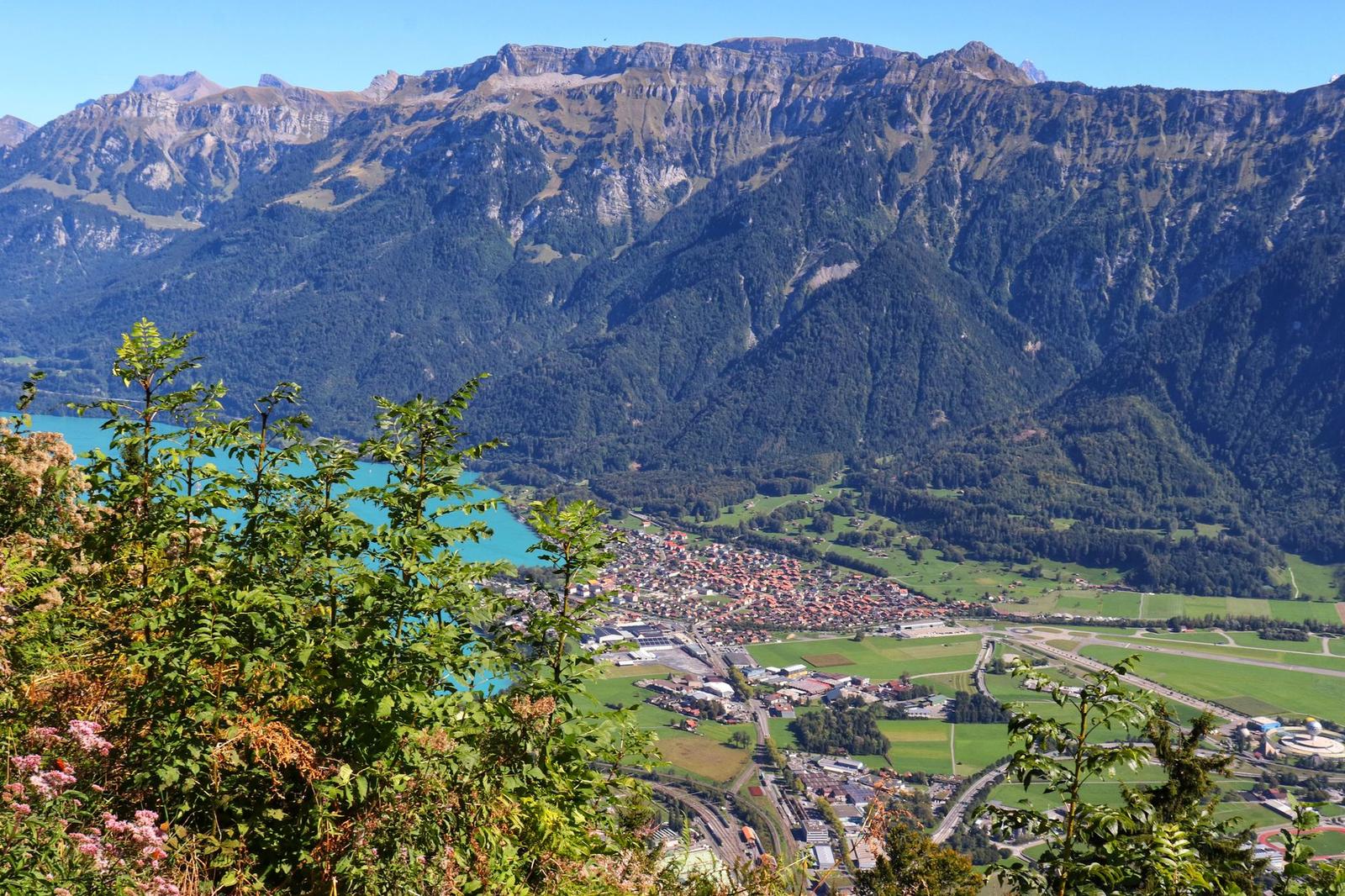 Aerial view of a lakeside town framed by shrubs and forested mountain slopes