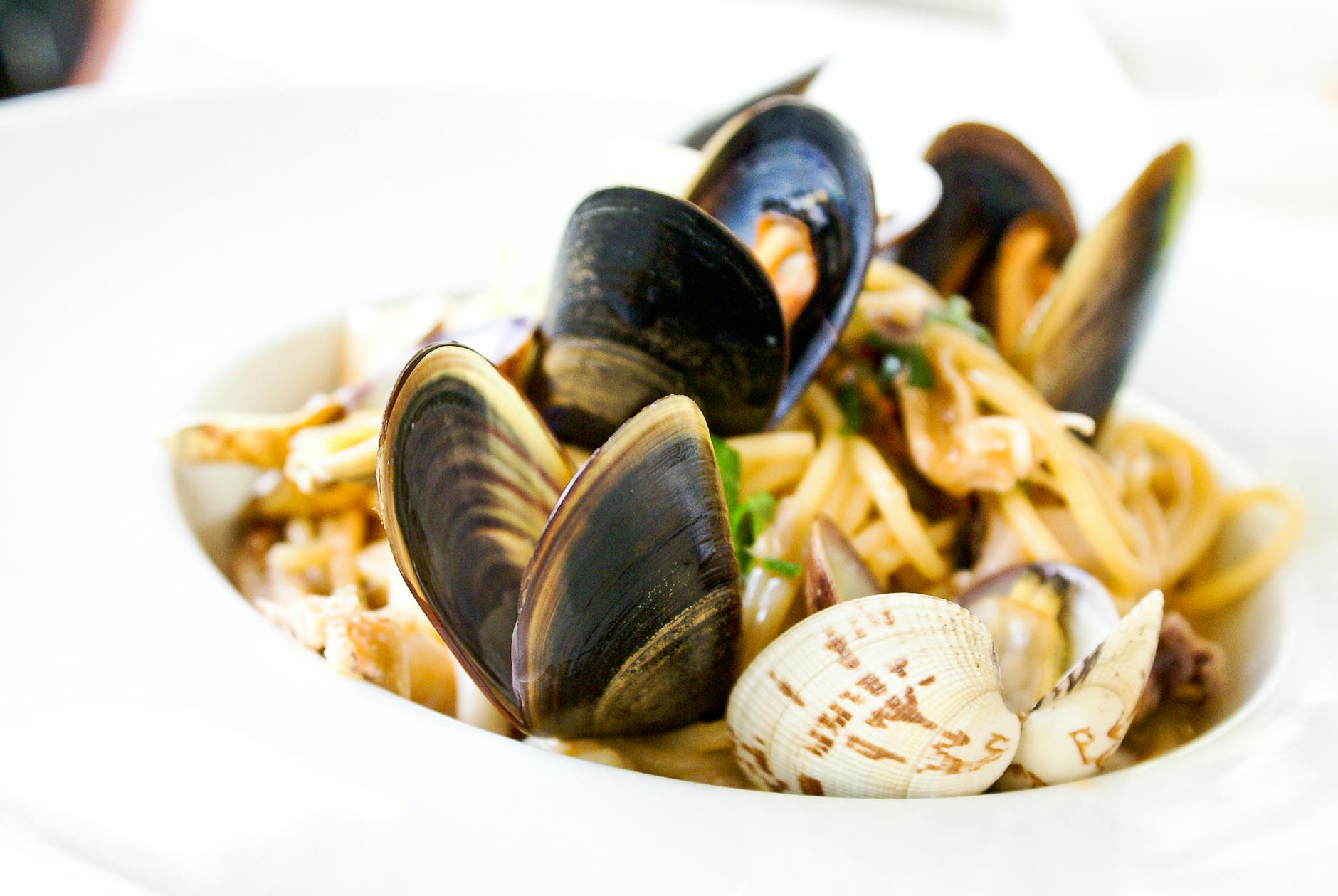 Traditional food of Switzerland + Italy