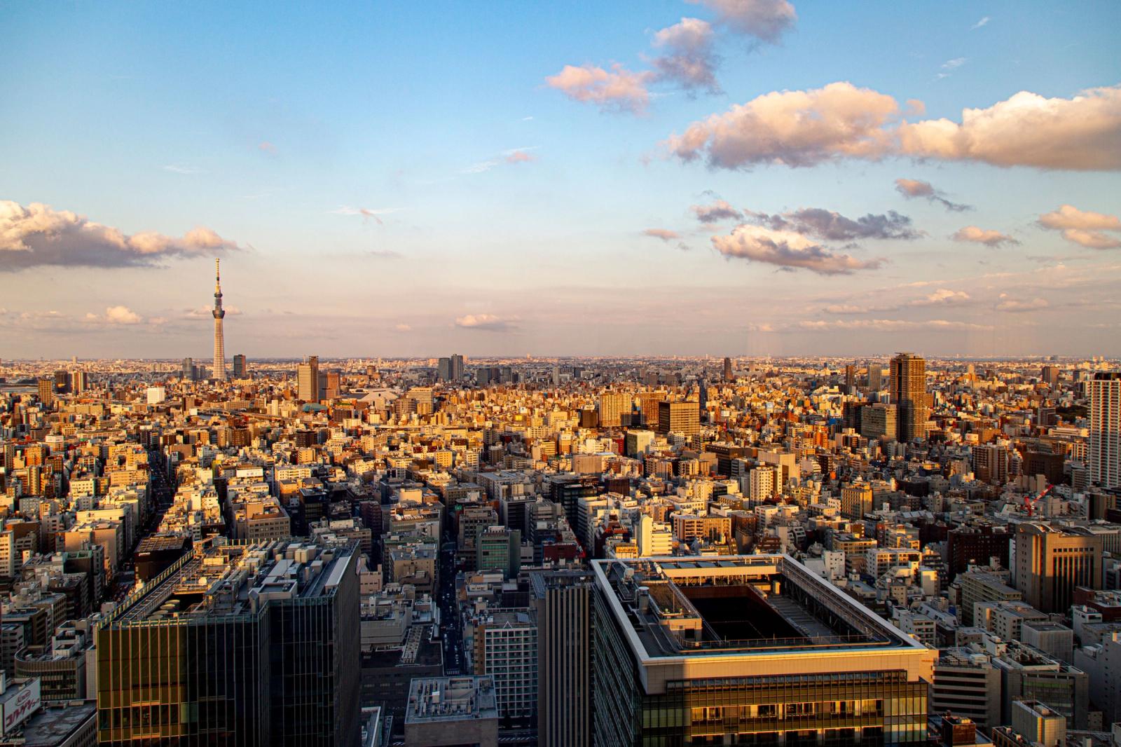 Aerial view of Tokyo cityscape with Tokyo Skytree tower during sunset