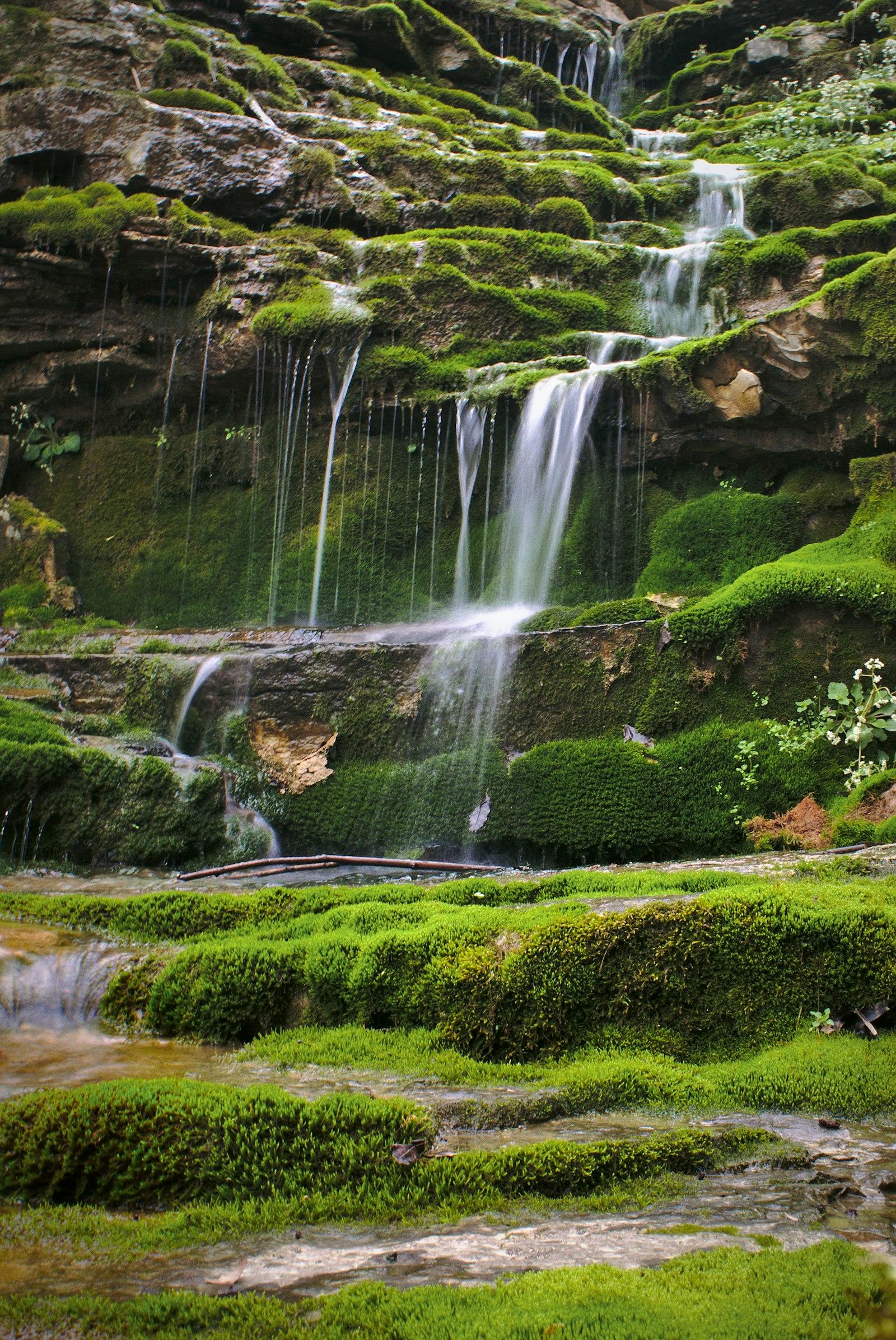 Lush green Himalayan cascade beside the Ganga near Rishikesh