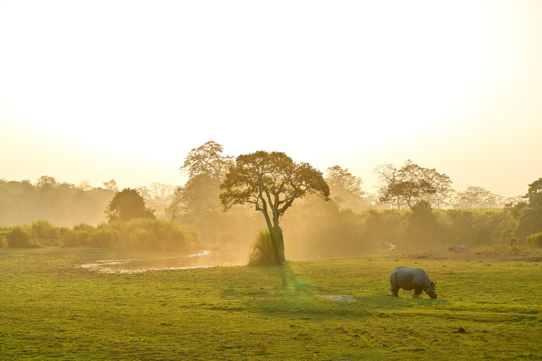 Six hours — Shillong–Kaziranga, India
