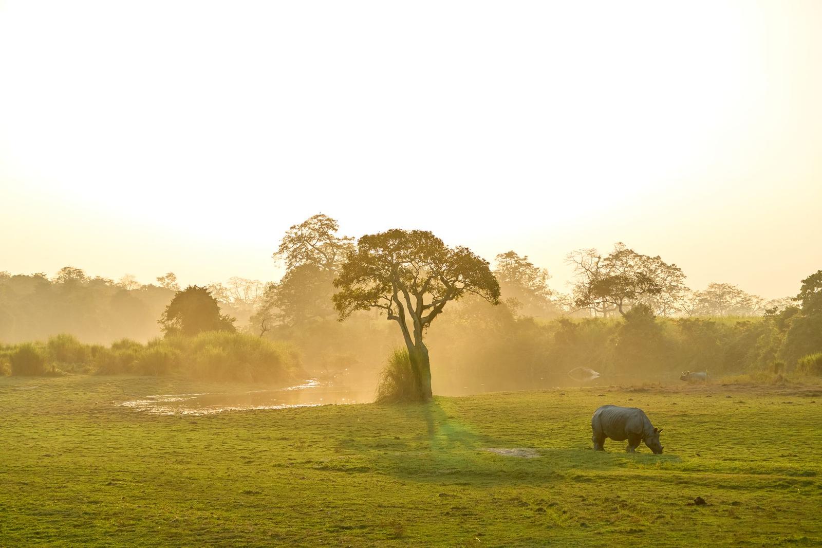 Six hours — Shillong–Kaziranga, India
