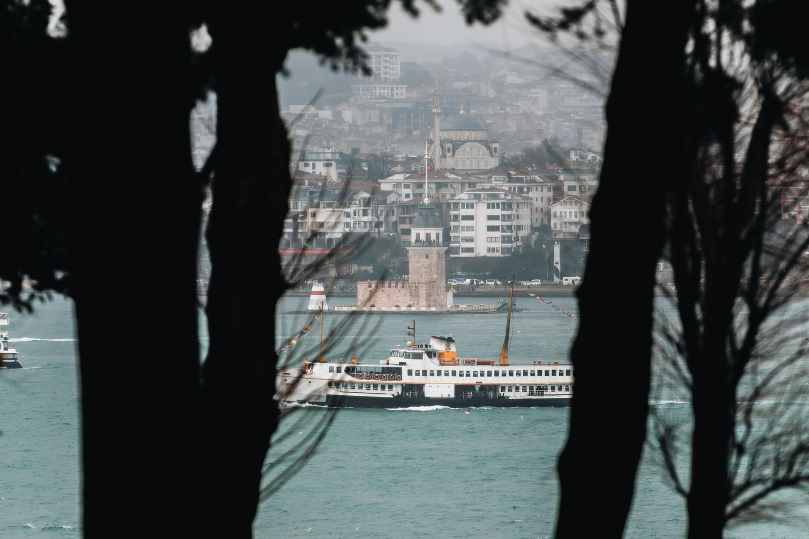 Ferry crossing a strait glimpsed between silhouetted tree trunks