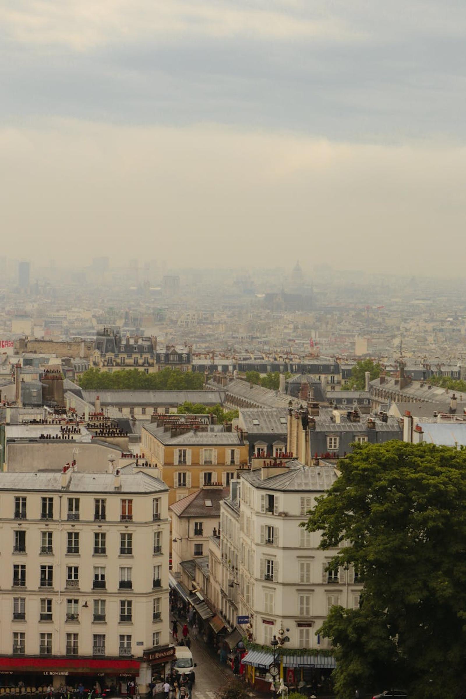 Aerial view of Paris cityscape showcasing historic buildings and skyline