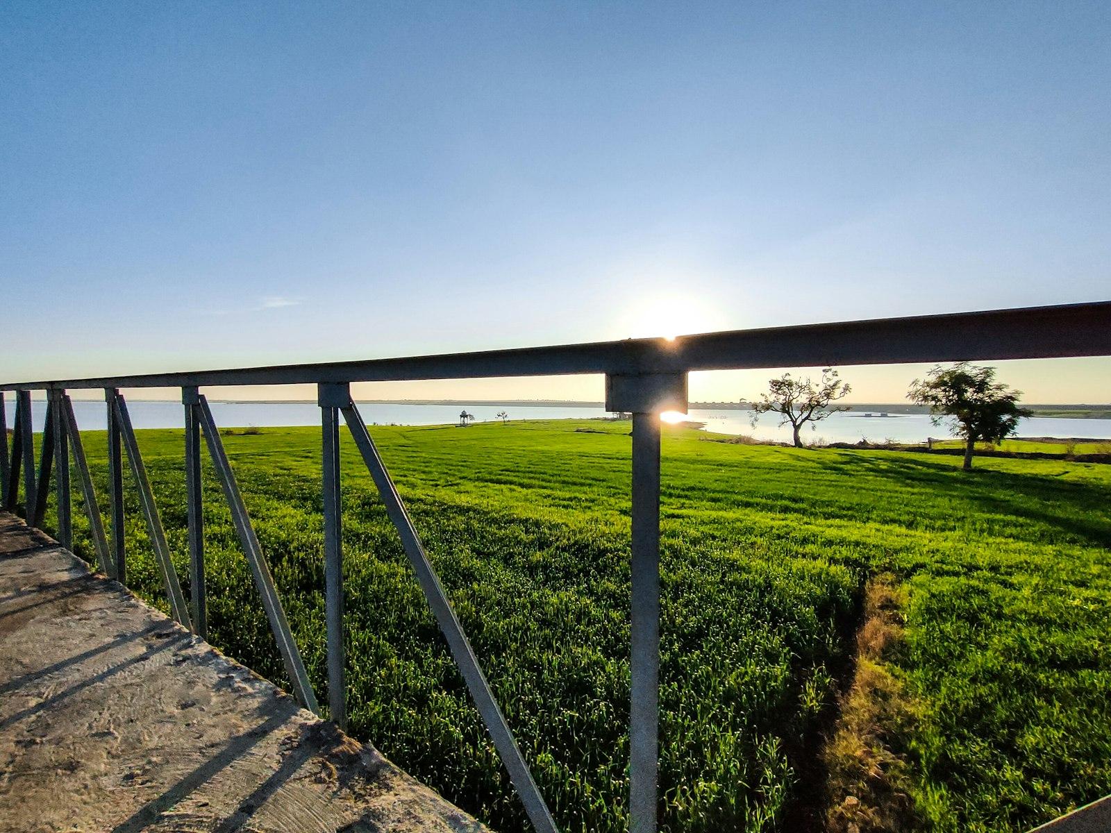 Green lakeside meadow at sunrise near Bhopal