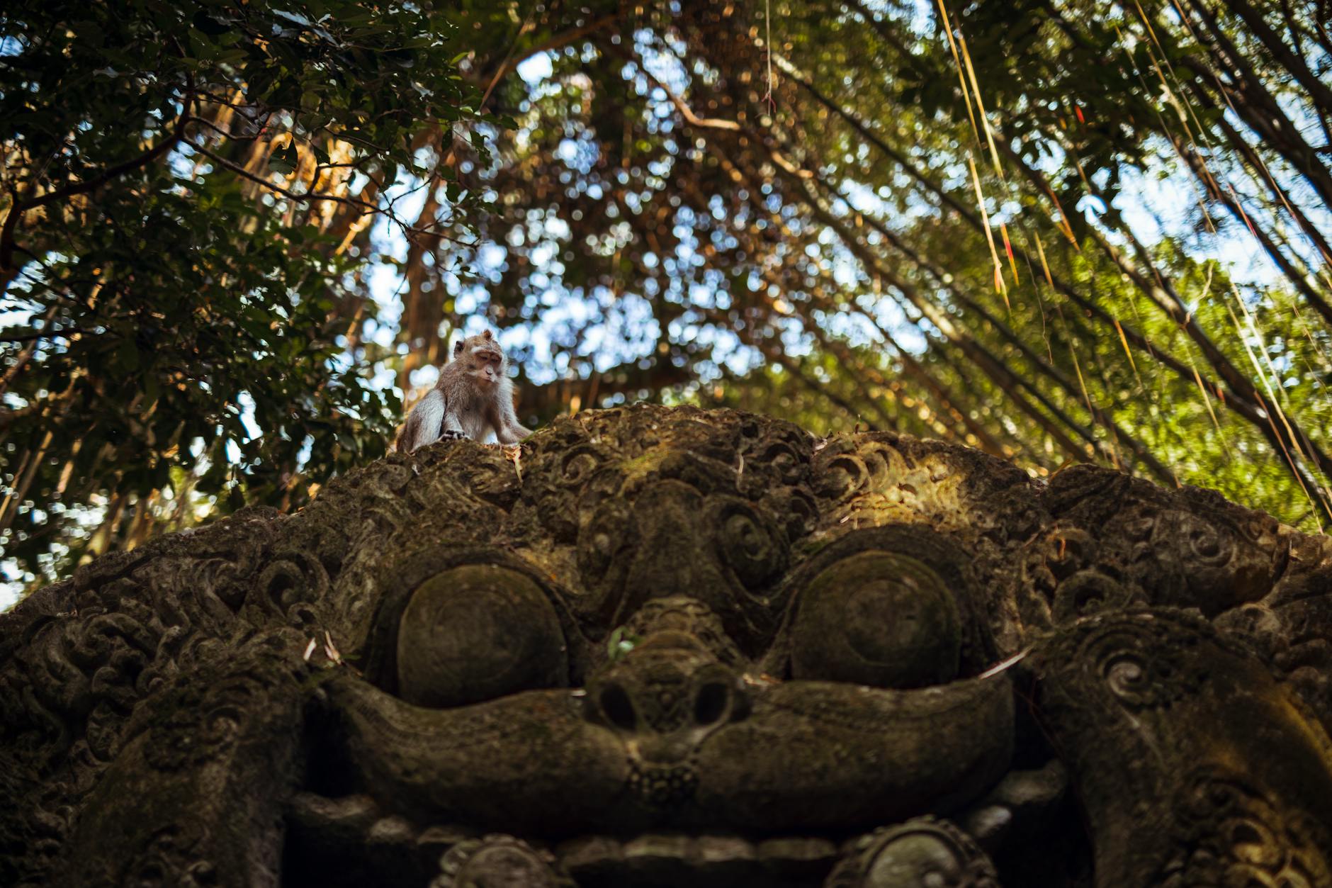 Ubud architecture at night