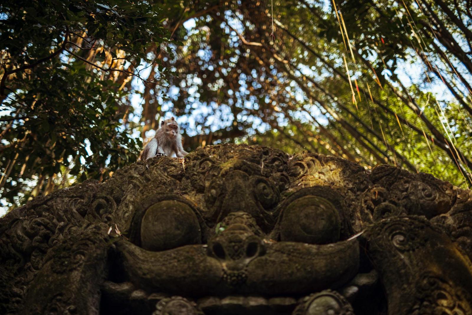 Ubud architecture at night