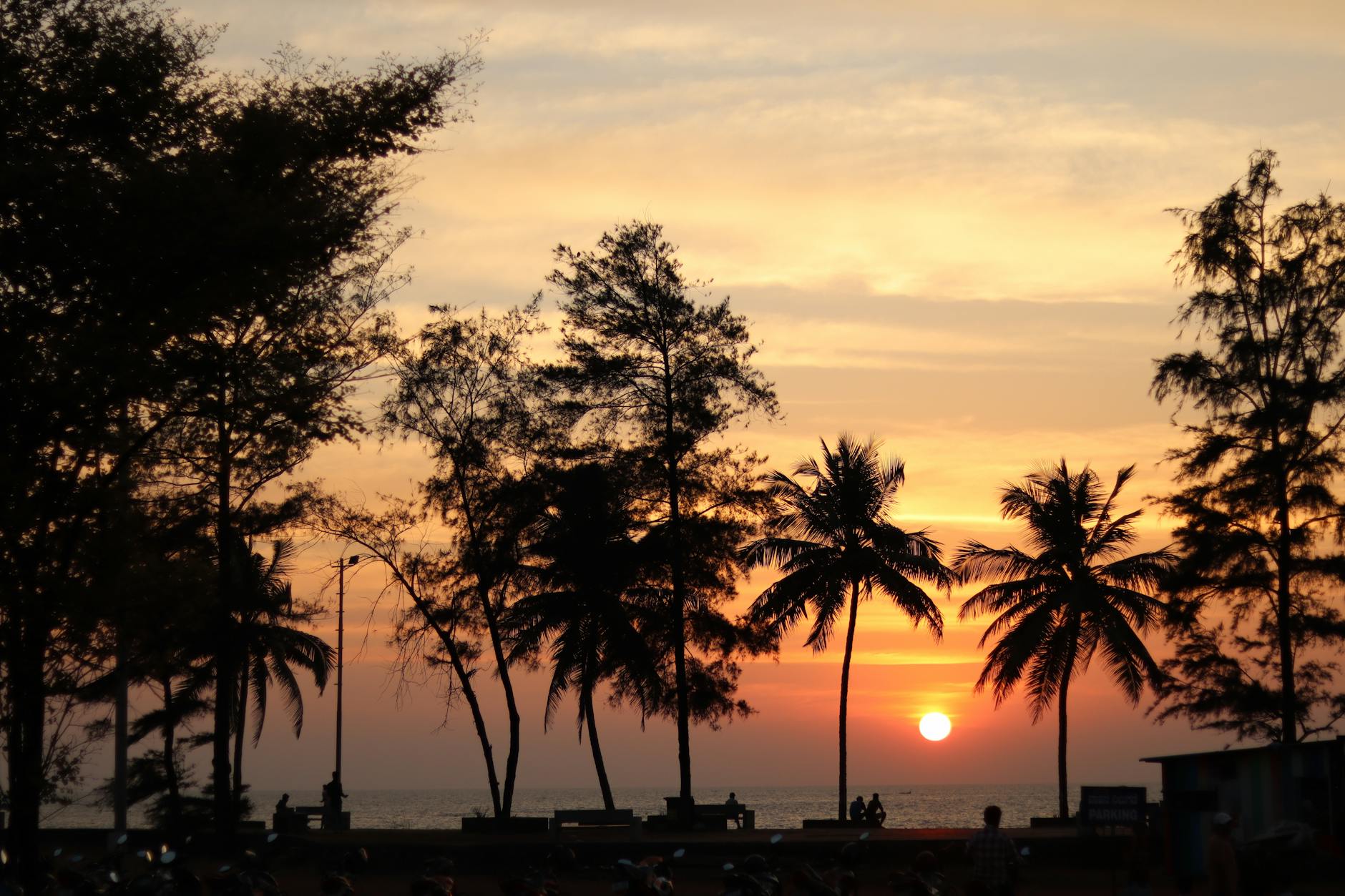 India at golden hour