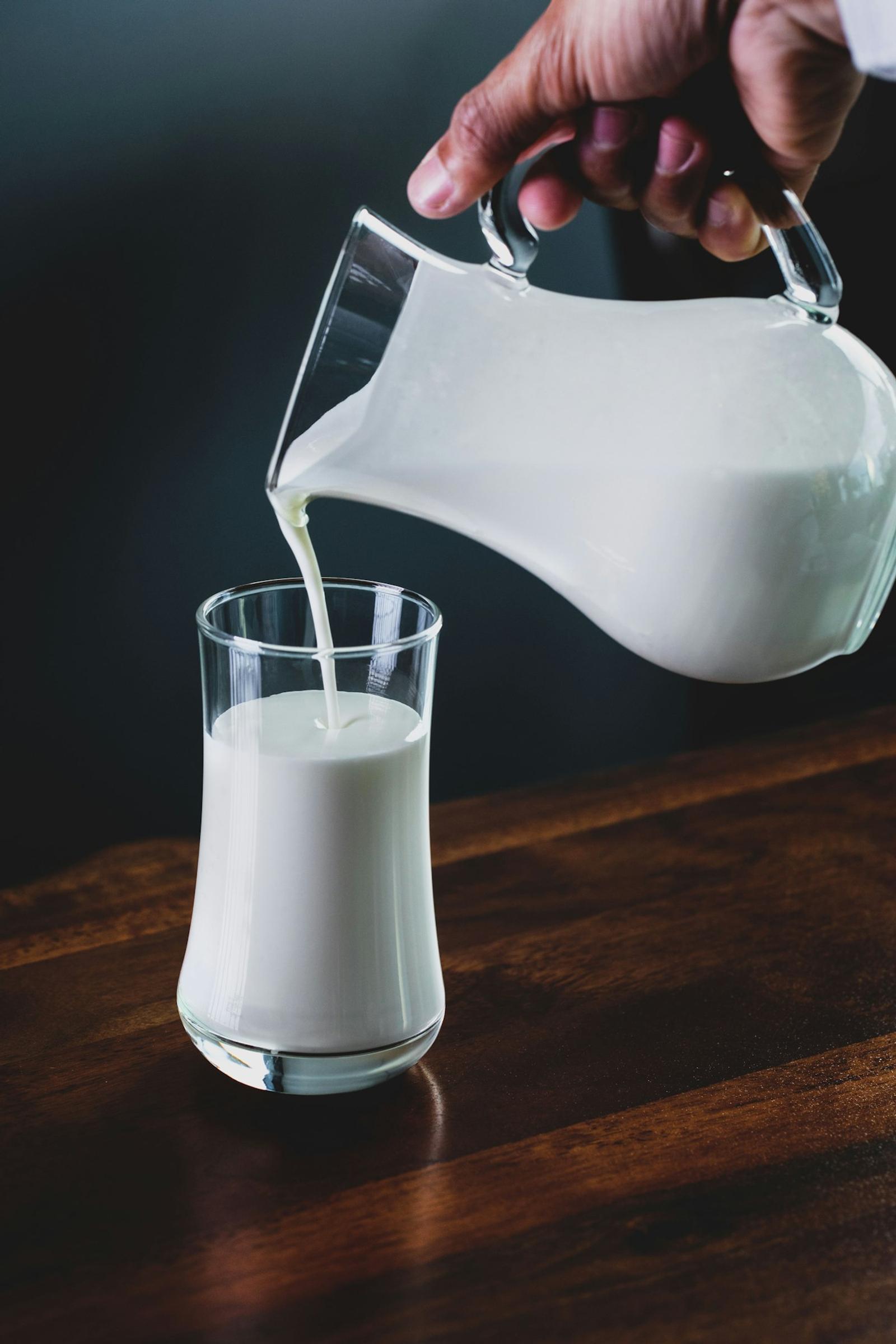 Dairy processing | Wagga Wagga