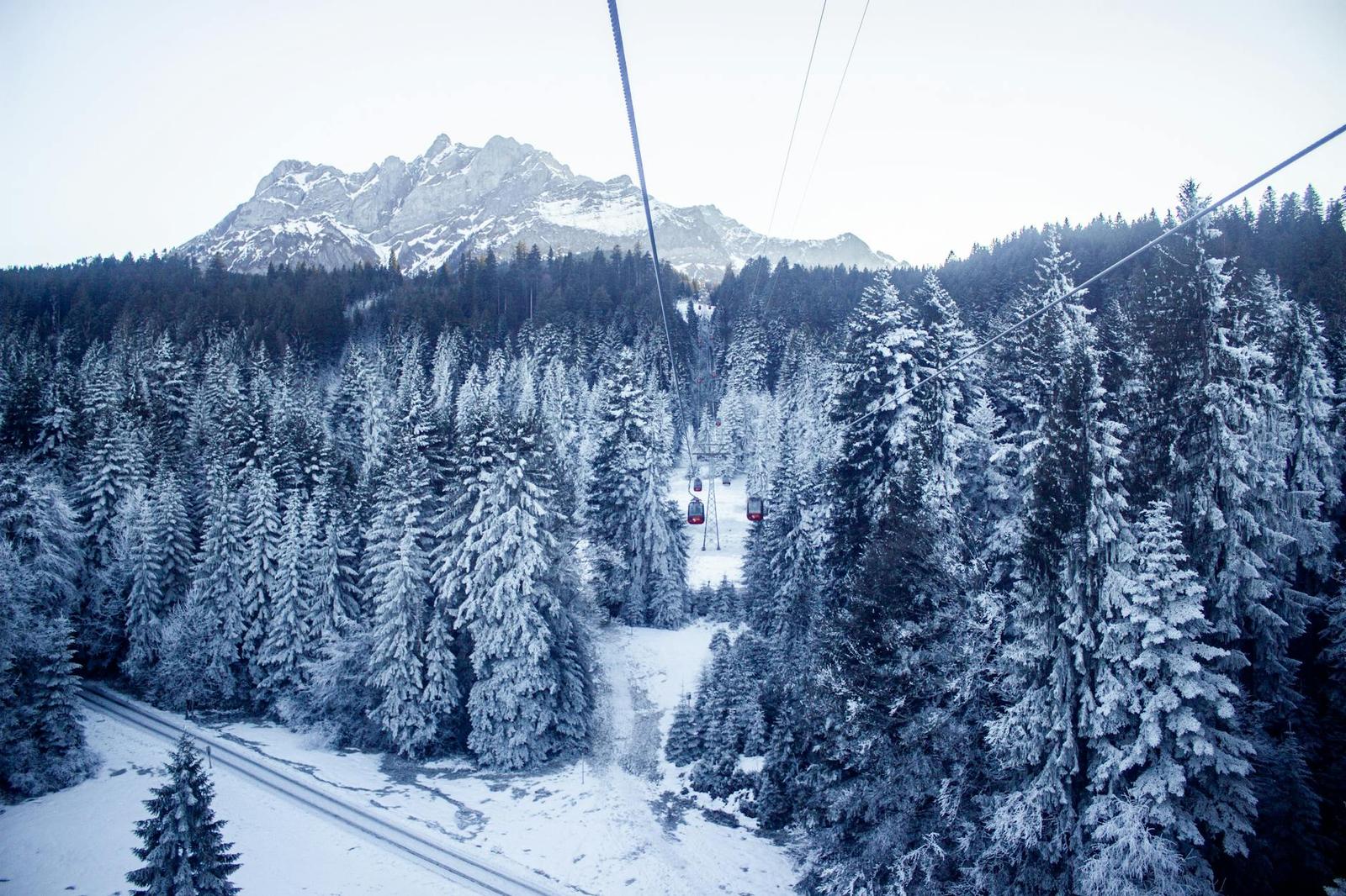 Experience the serene beauty of snow-covered forests and Mount Pilatus in Switzerland during winter