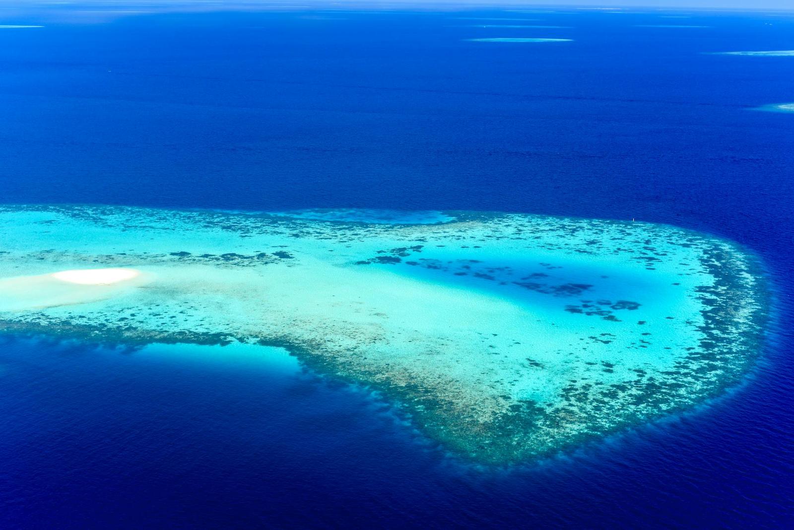 Aerial view of a reef fanning out in shades of turquoise