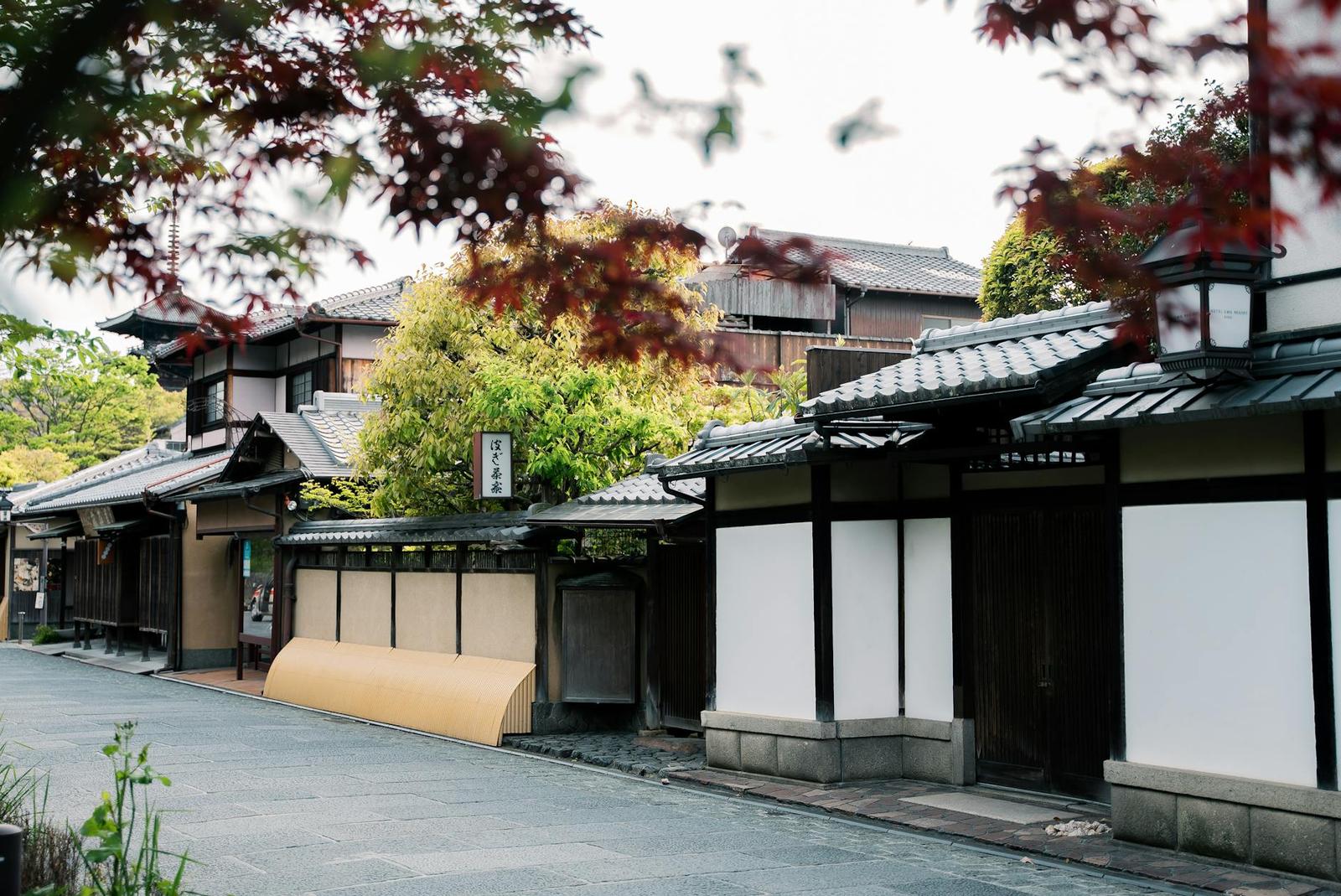 A quiet lane of traditional tiled-roof houses under autumn maple leaves