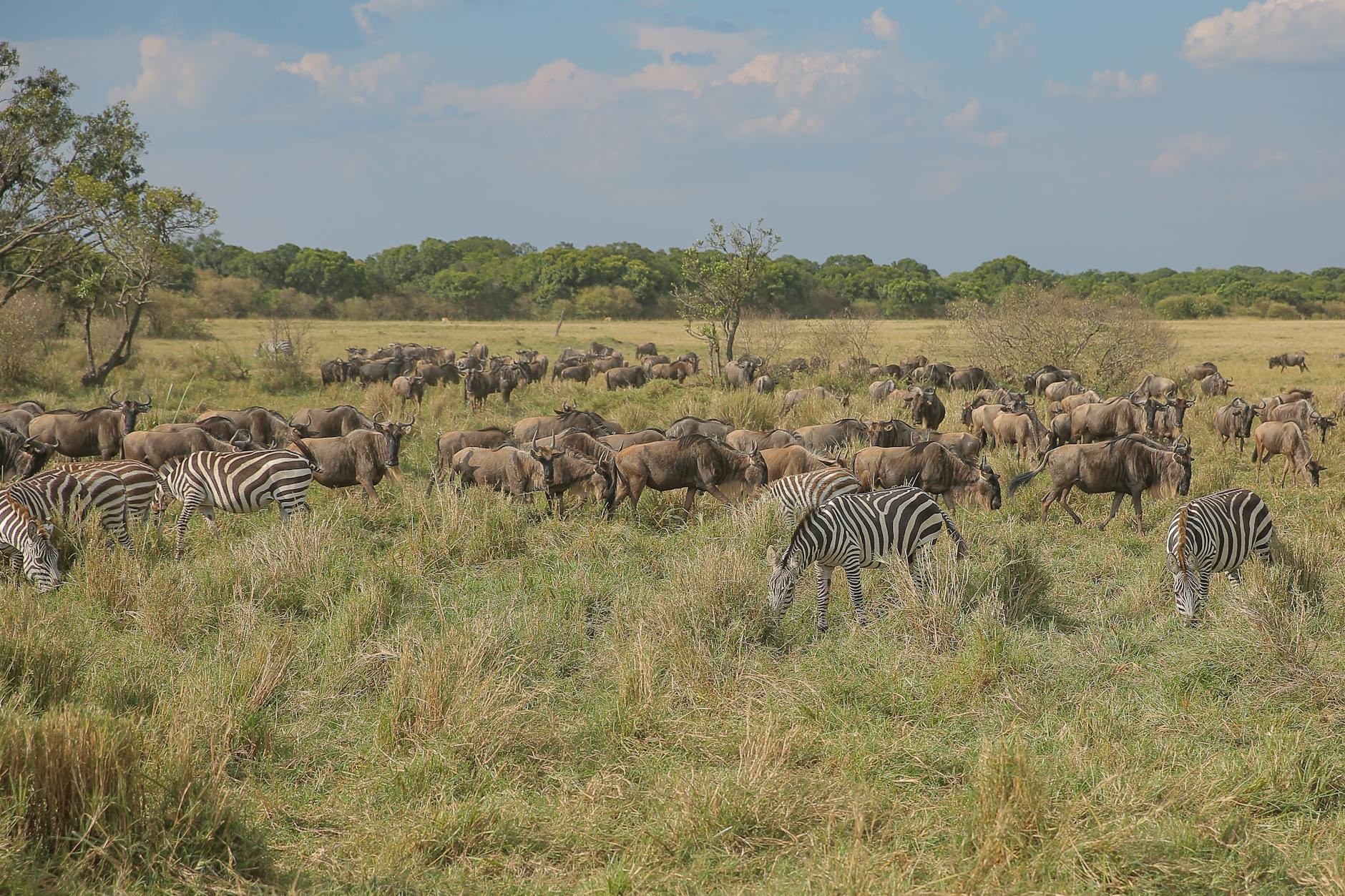 A hotel in Maasai Mara, Kenya