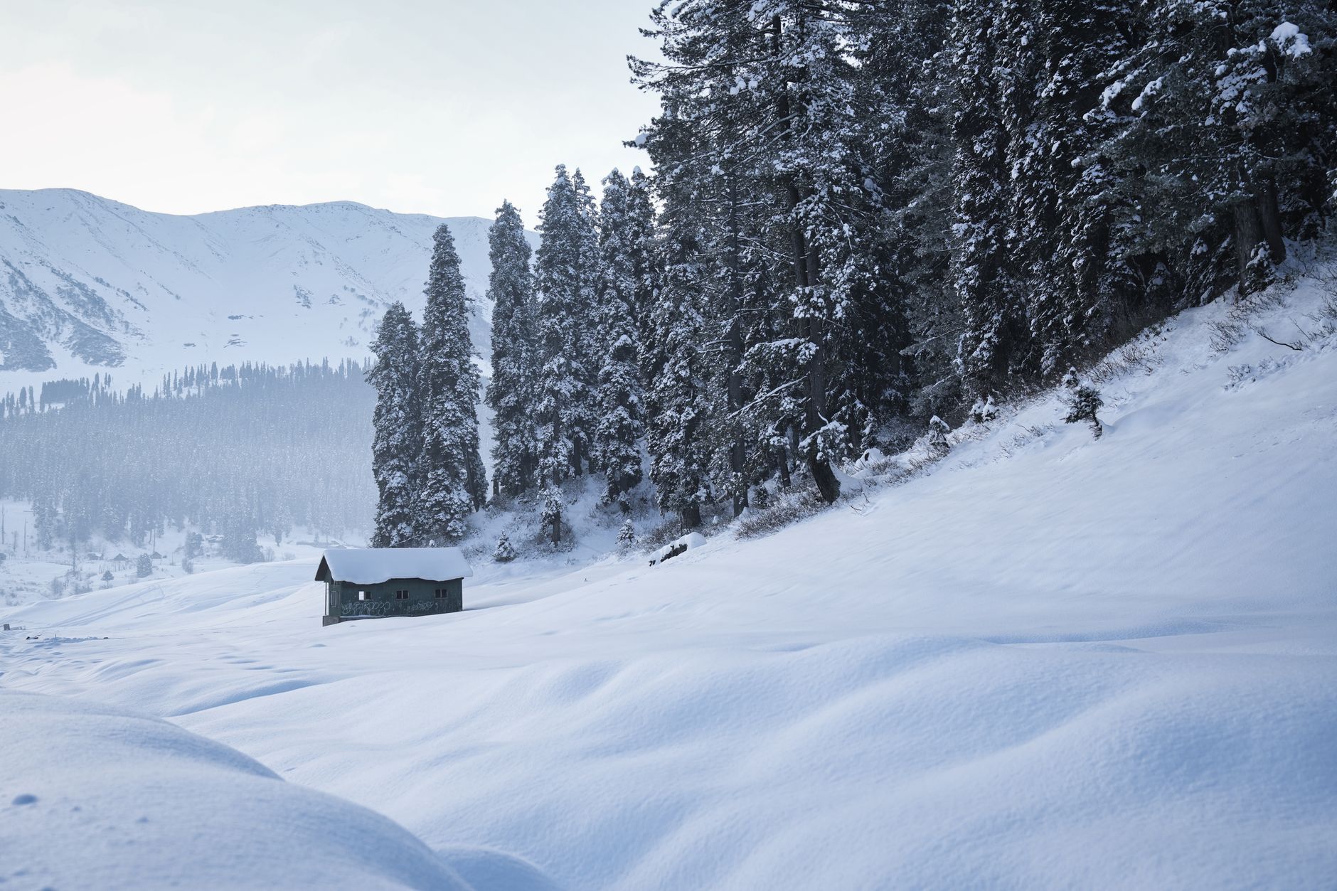 Overnight Winter Gulmarg — Kashmir & Ladakh, India
