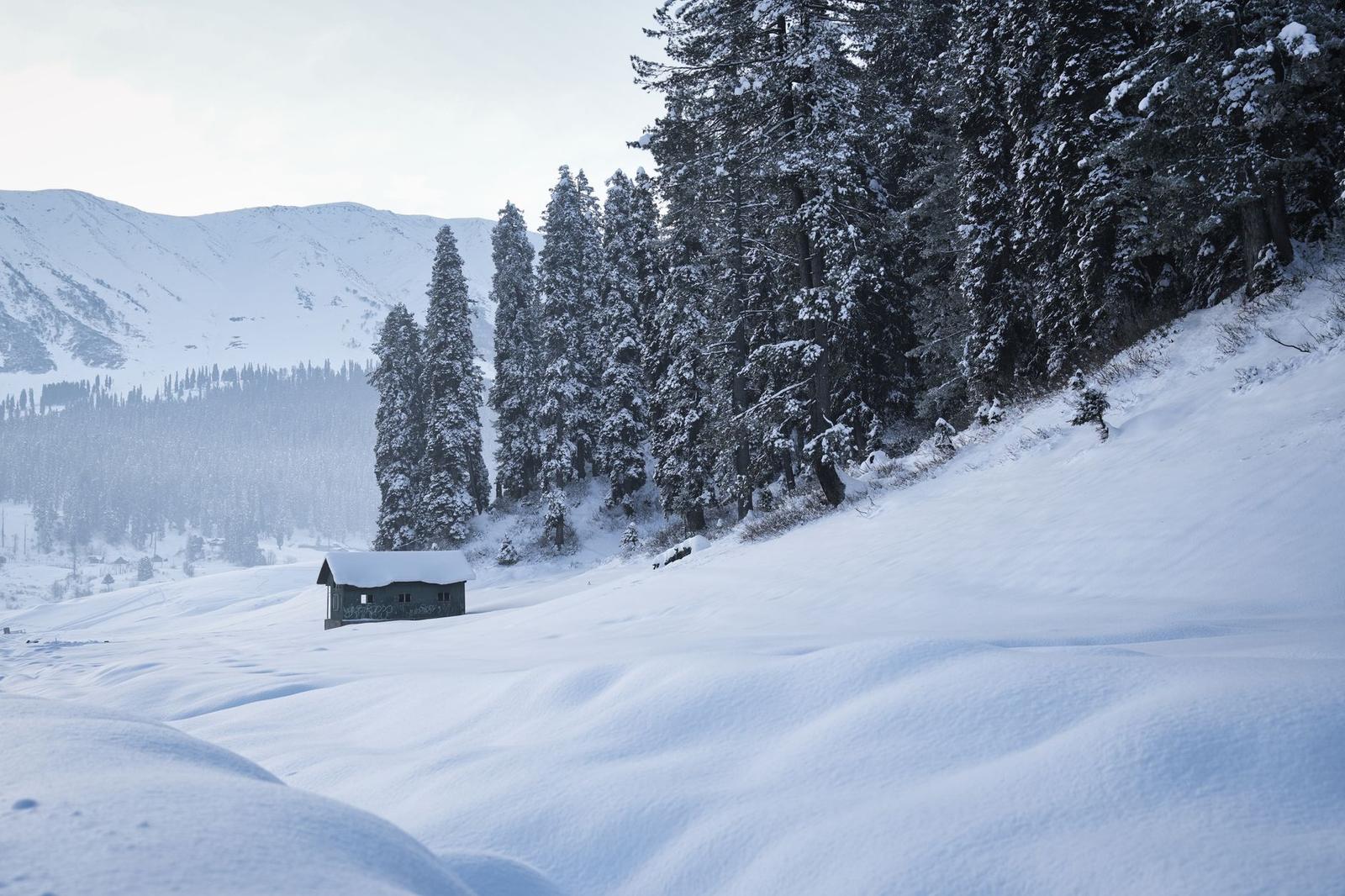 Overnight Winter Gulmarg — Kashmir & Ladakh, India