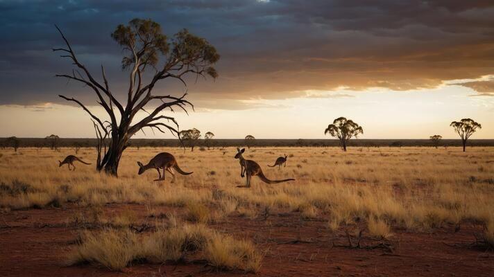 Australia knowledge tours