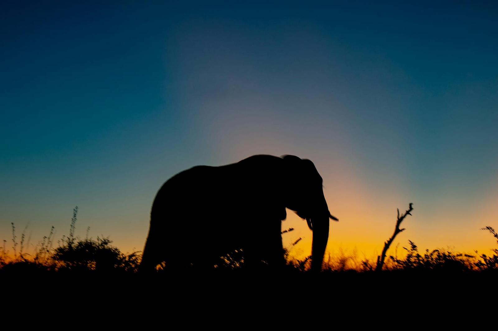 South African Adventure: Johannesburg + Kruger + Cape Town
