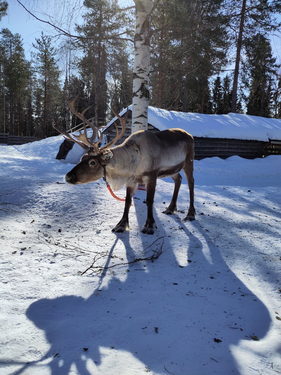 Helsinki Rovaniemi — Finland