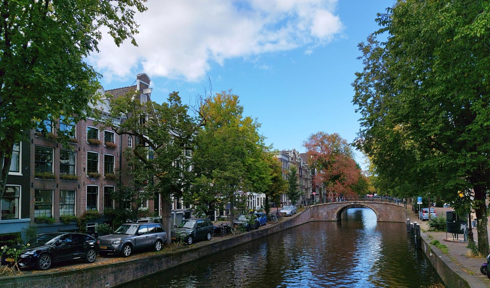 Picturesque Amsterdam canal scene with trees and traditional architecture