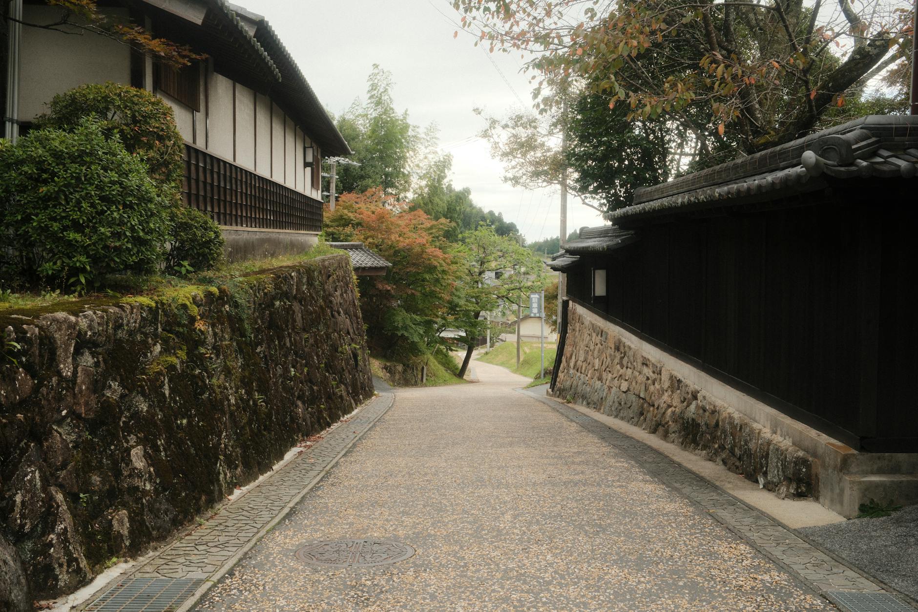 Gifu Castle & Mount Kinka, Japan