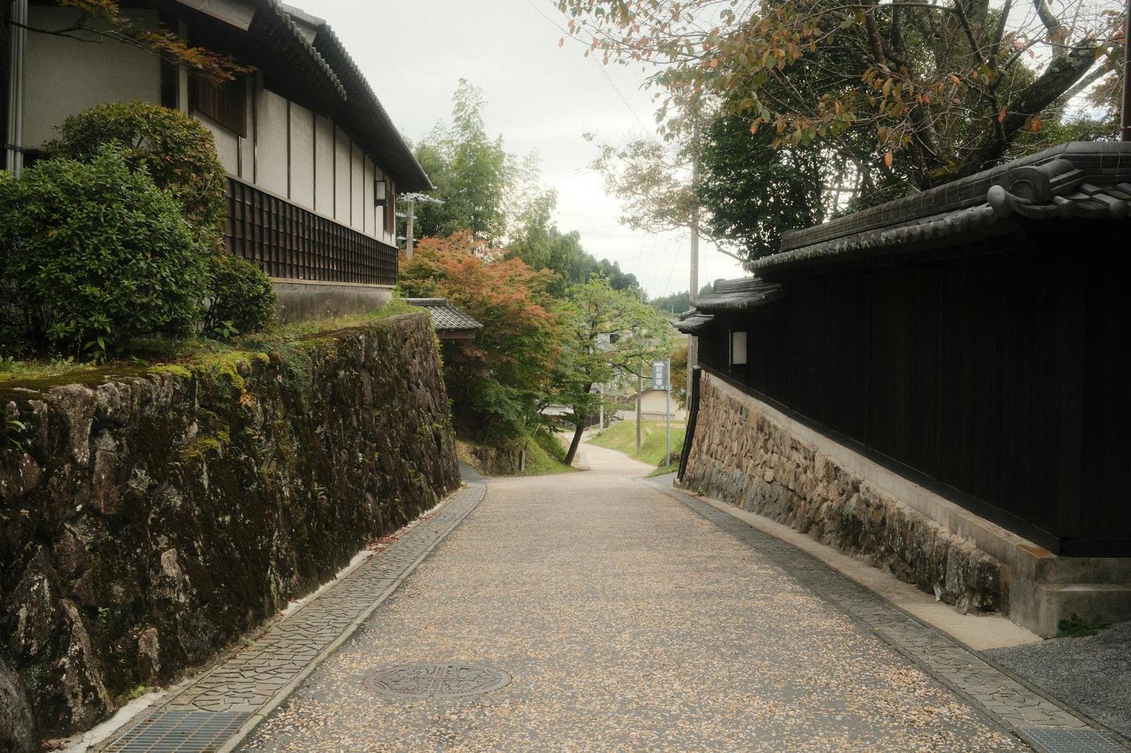 Gifu Castle & Mount Kinka, Japan