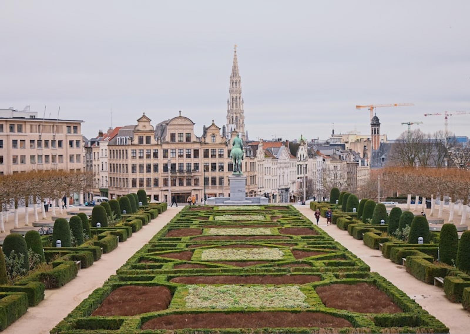 Brussels chocolate