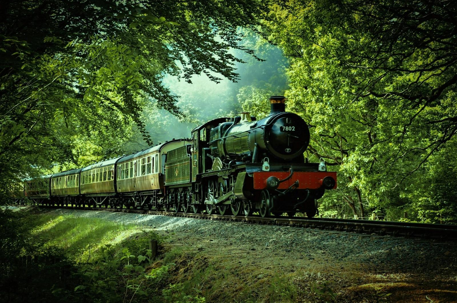 A vintage steam locomotive pulling carriages through a green forest