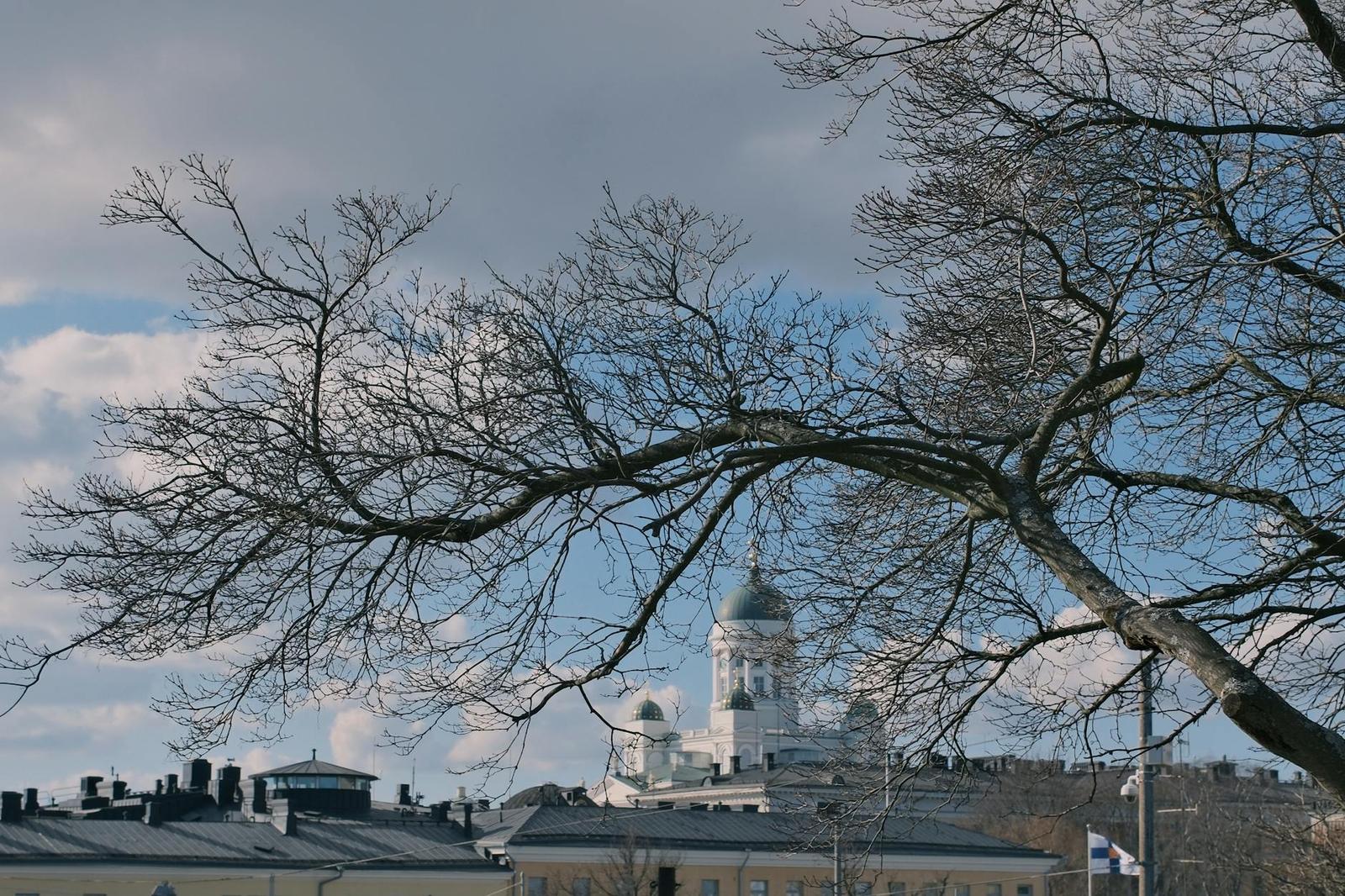 Bare tree branches framing a domed cathedral tower against clouds