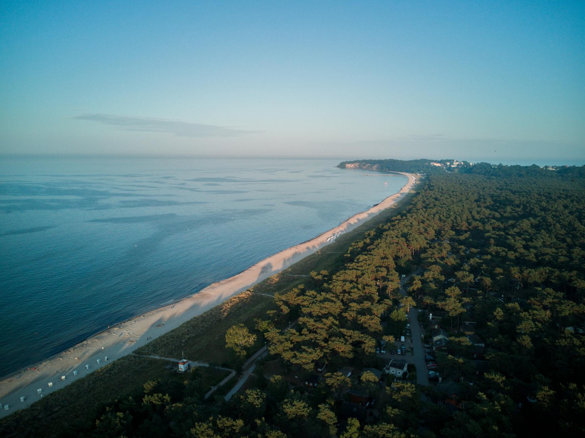 Aerial view of a sandy shoreline dividing sea from dense pine forest