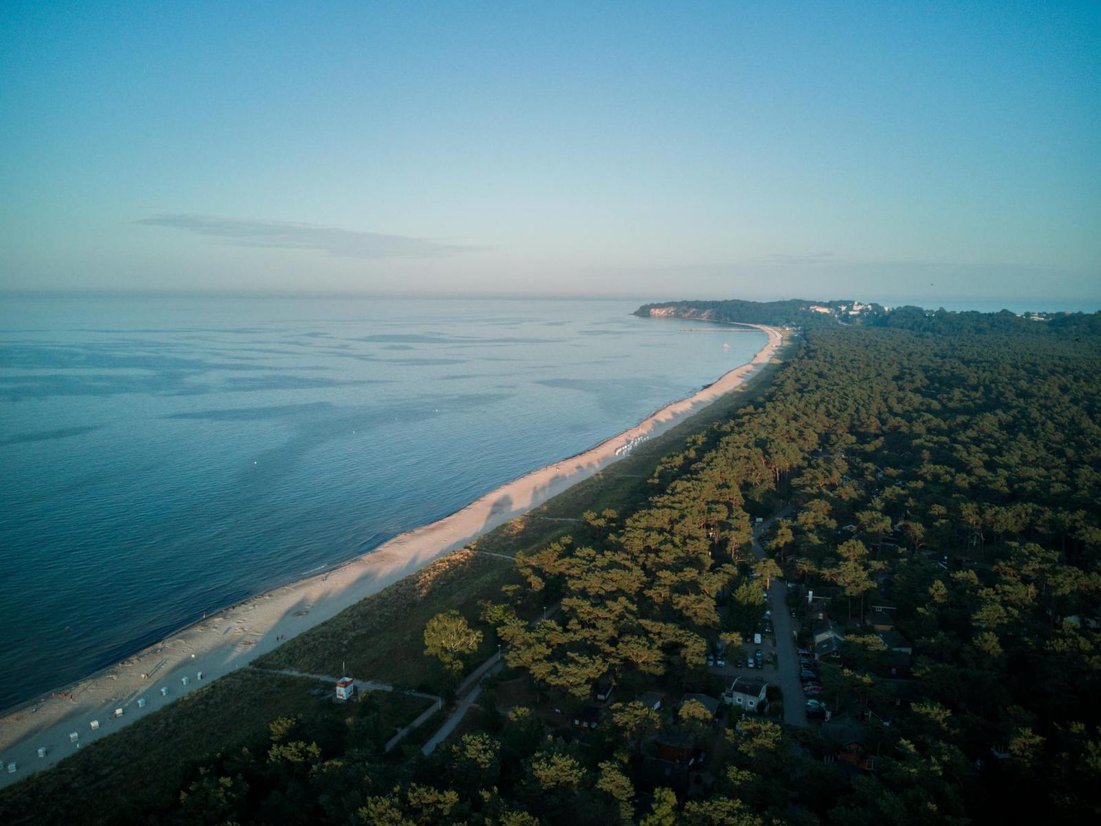 Aerial view of a sandy shoreline dividing sea from dense pine forest