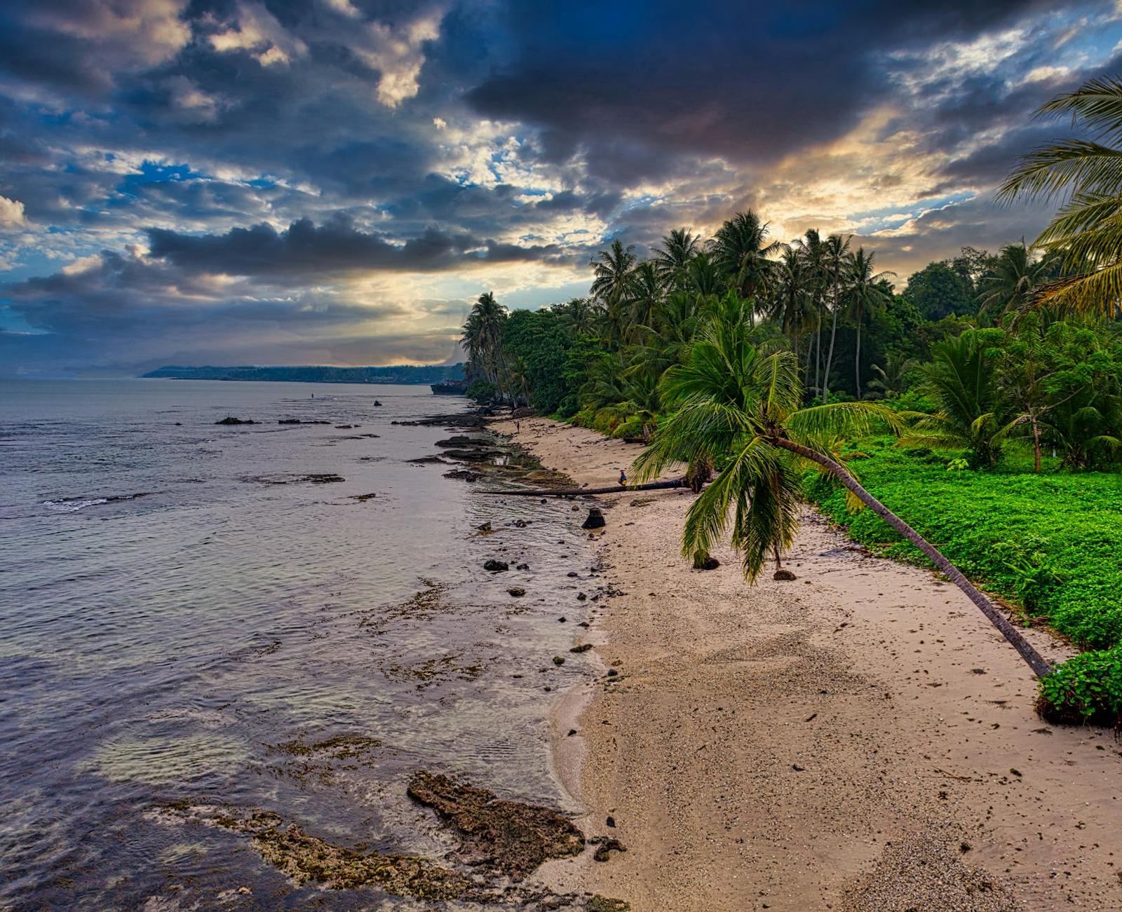 Palm trees leaning over a quiet tropical beach under a cloudy sunset