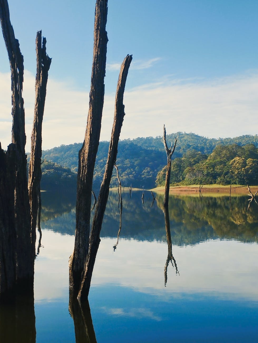 Periyar Boat Ride — Kerala, India