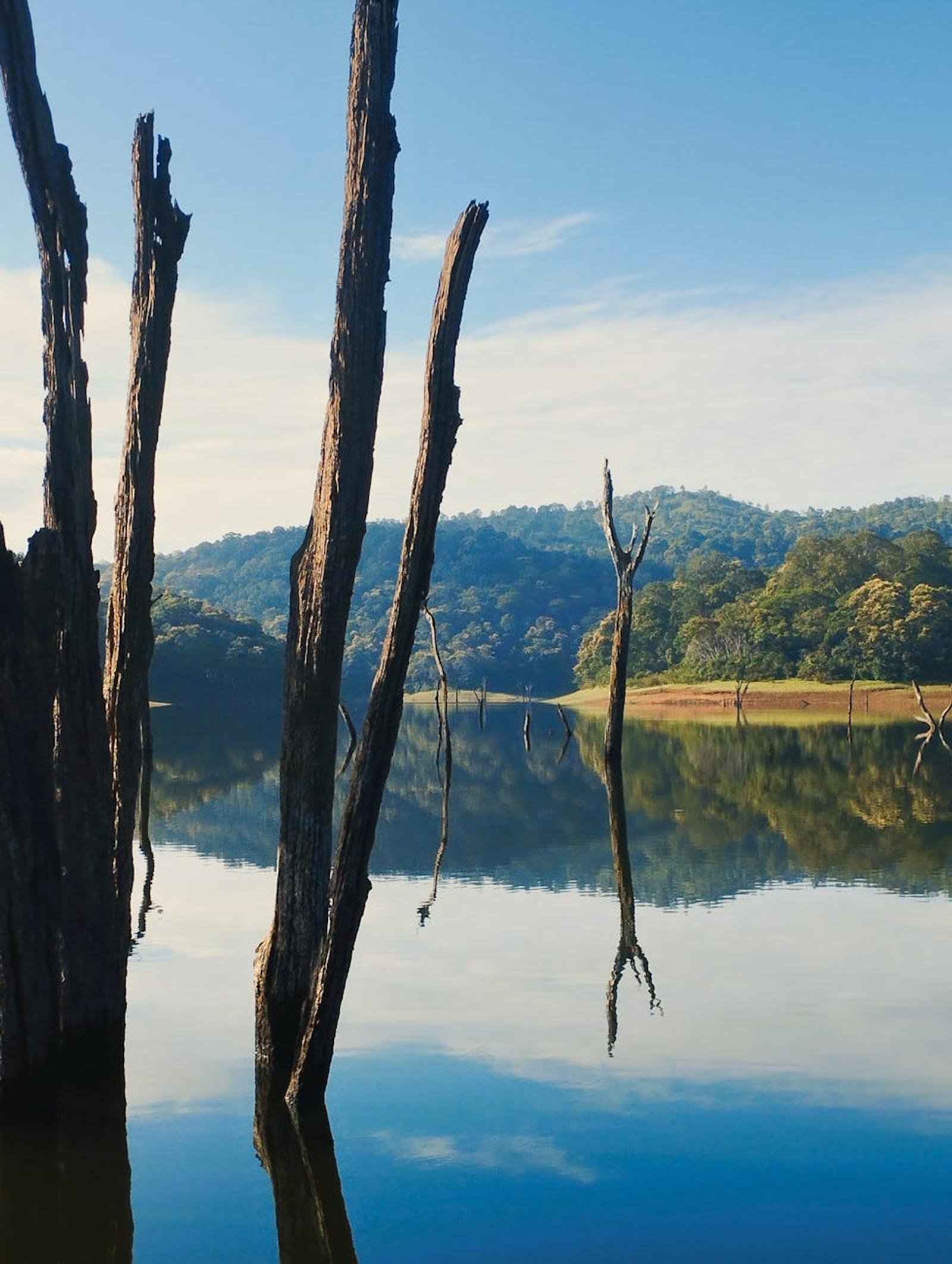 Periyar Boat Ride — Kerala, India