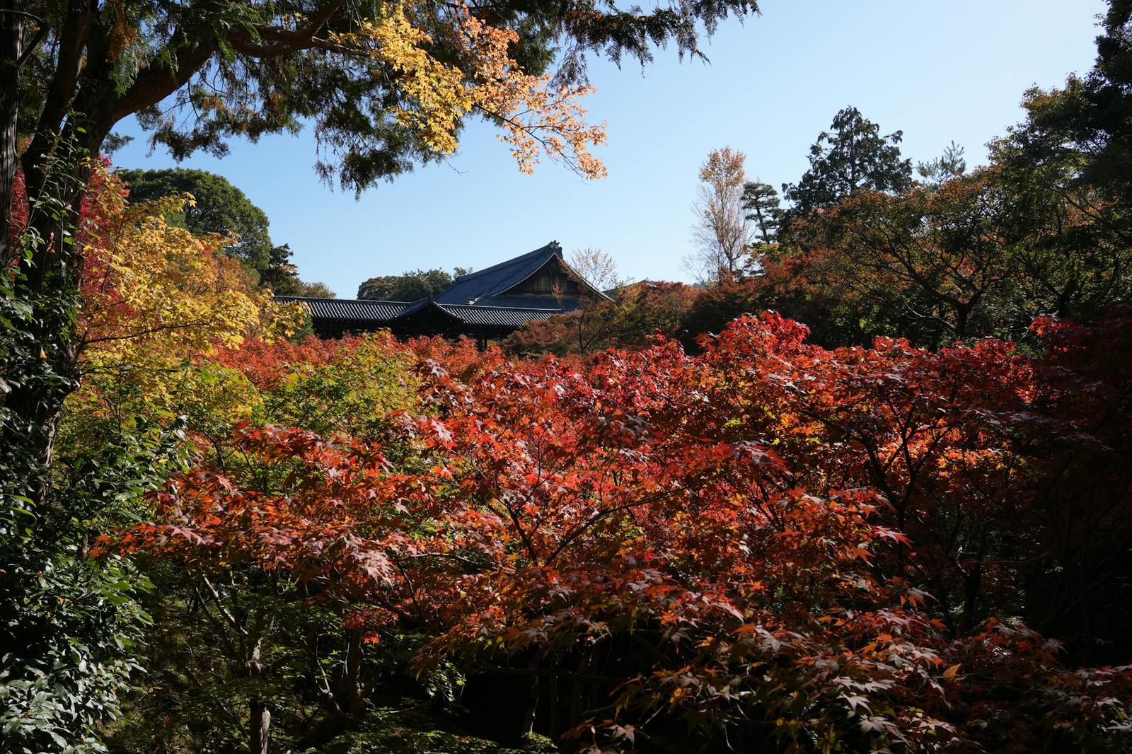 Kyoto on day 12, Japan