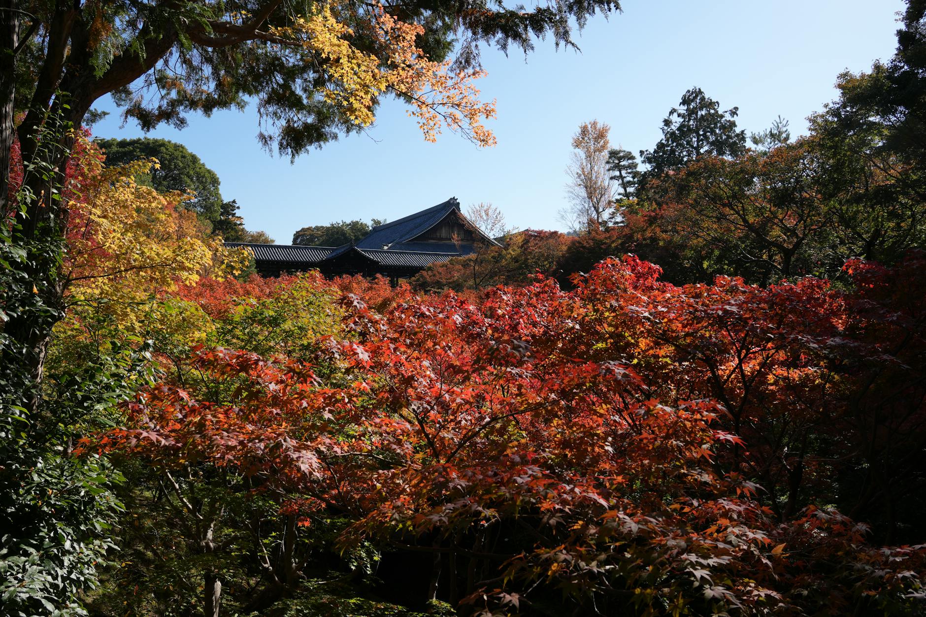 Kyoto — Kyoto, Japan