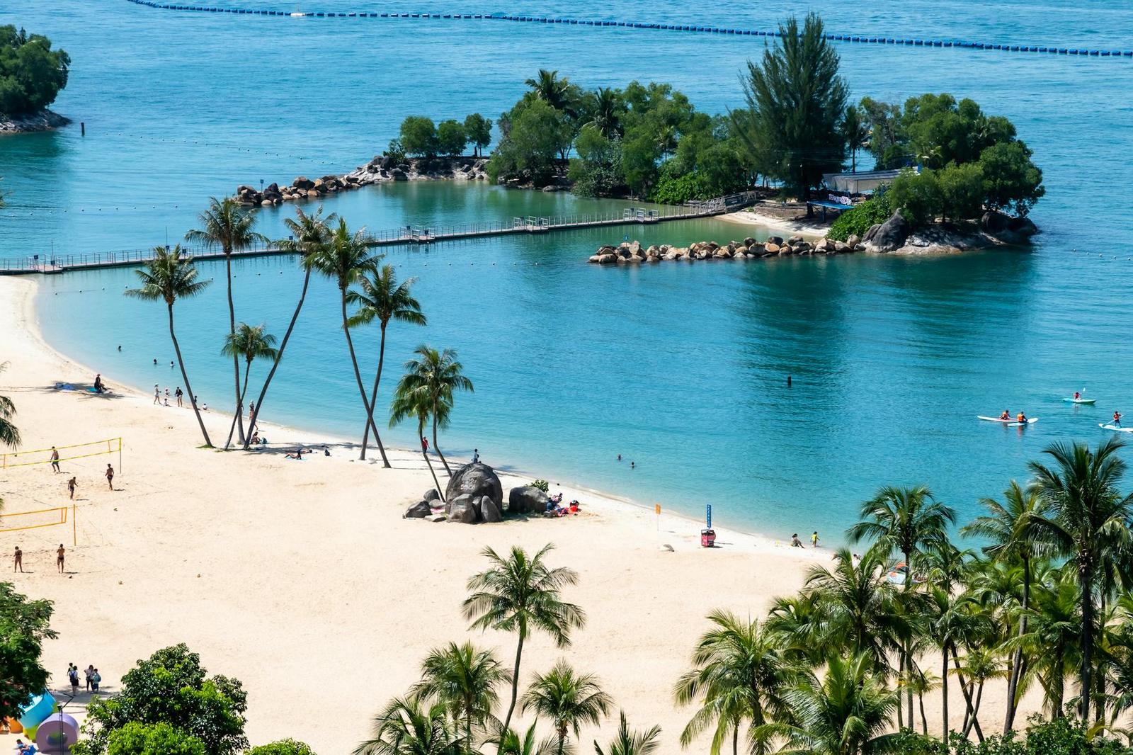 Palm-lined lagoon beach with people wading in turquoise shallows