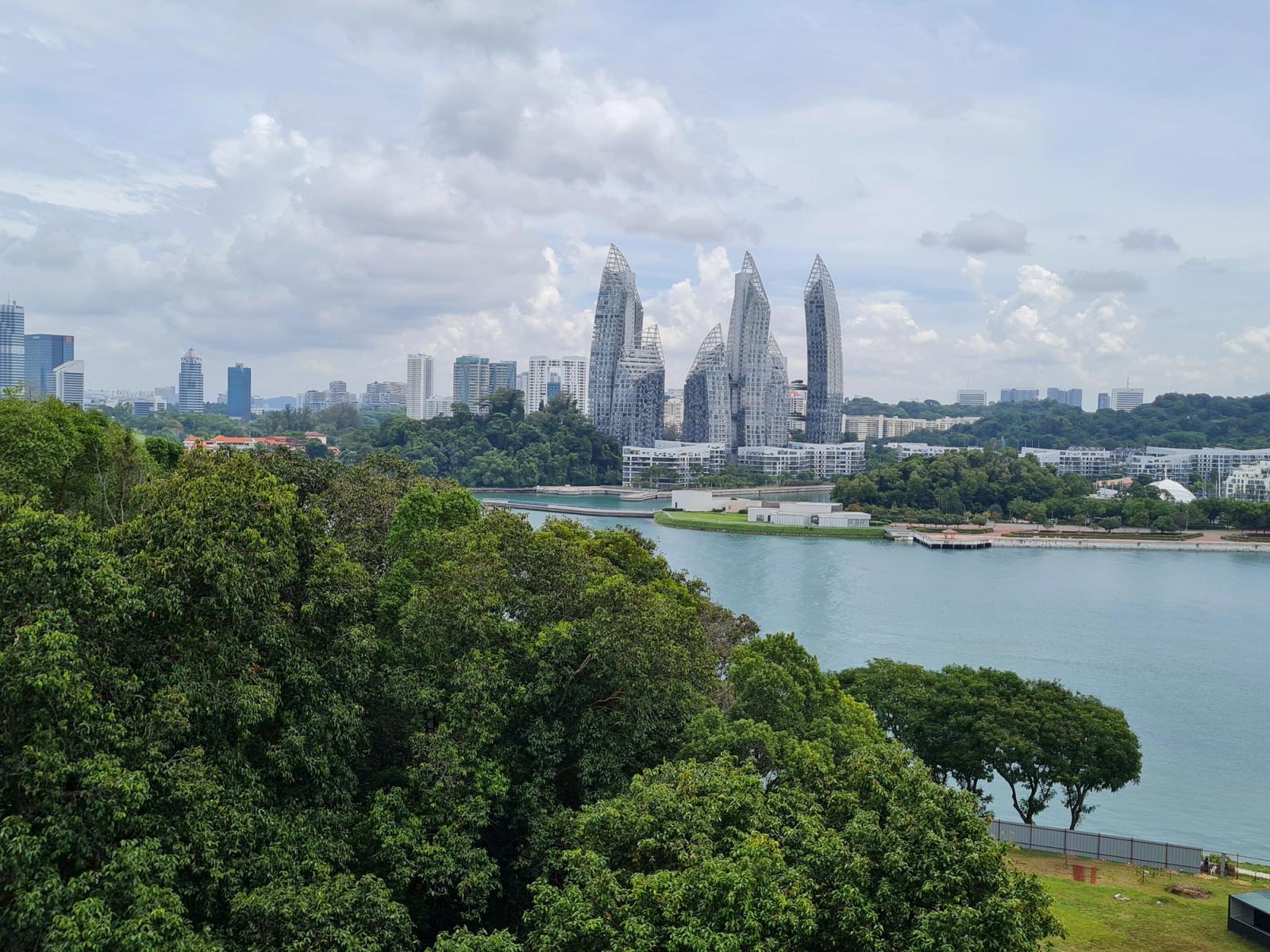 View of Singapore's modern skyline featuring unique architecture and lush greenery