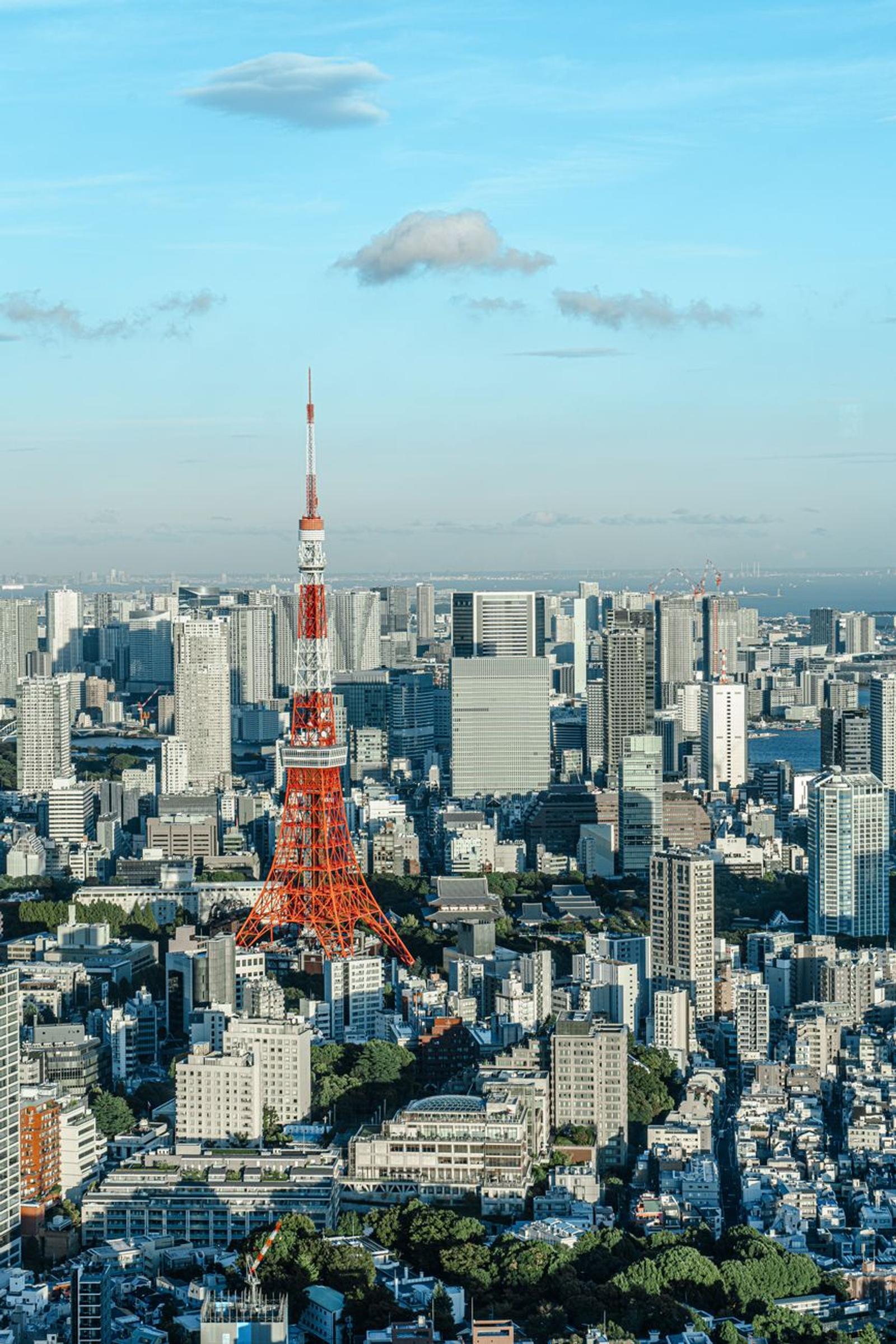 Full Tokyo Sightseeing — Japan