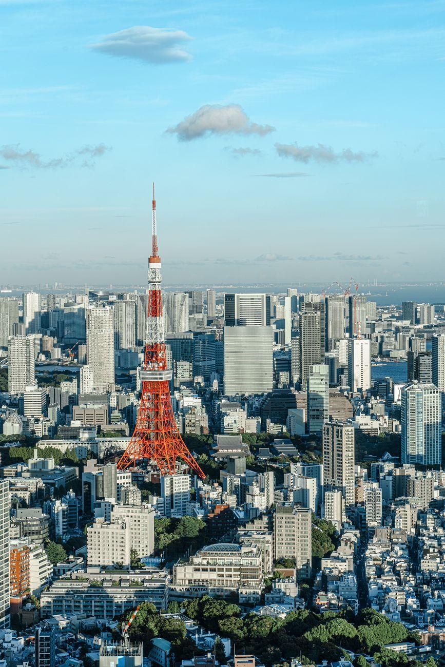 Full Tokyo Sightseeing — Japan
