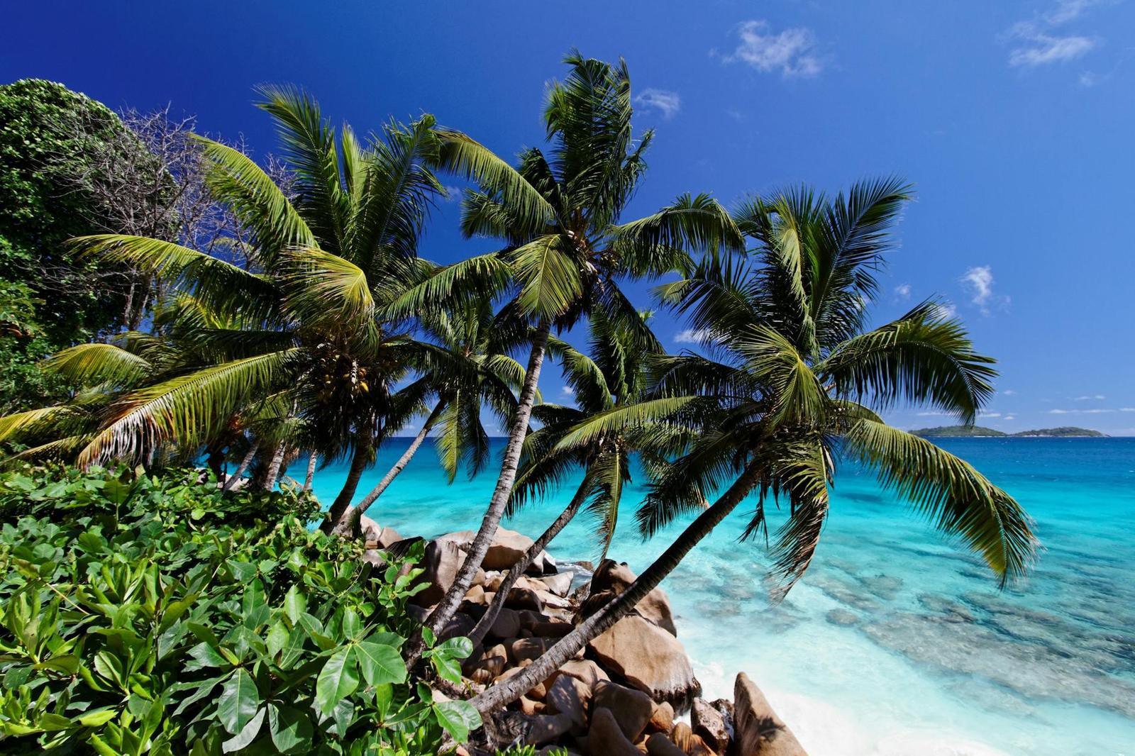 Praslin on day 3, Seychelles