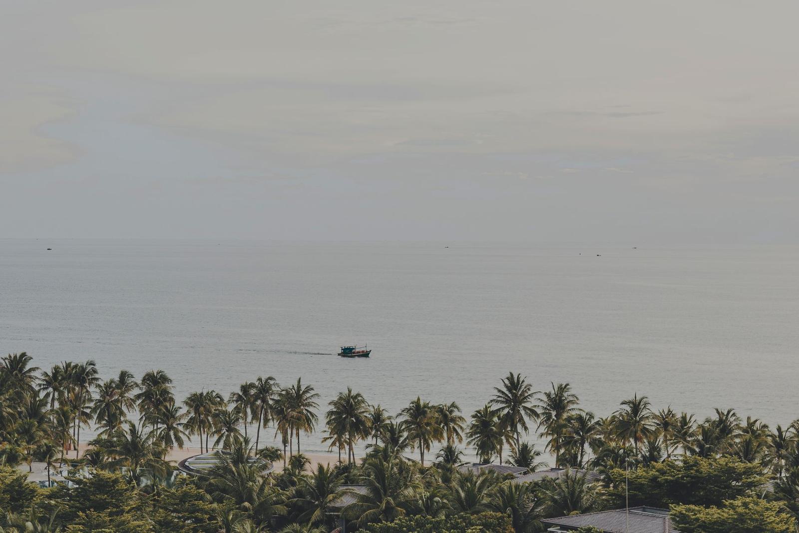 Fishing boat passing a palm-lined beach under a hazy sky