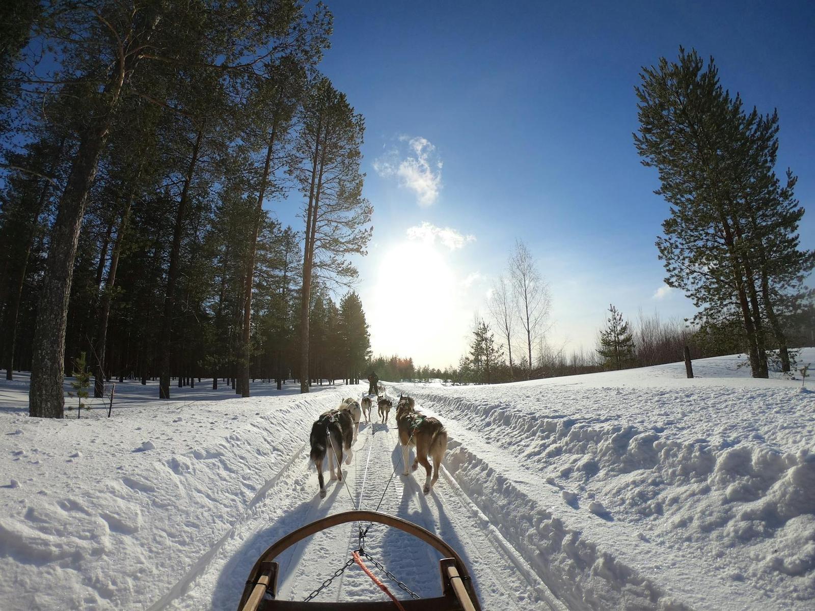 Rovaniemi on day 3, Finland + Norway