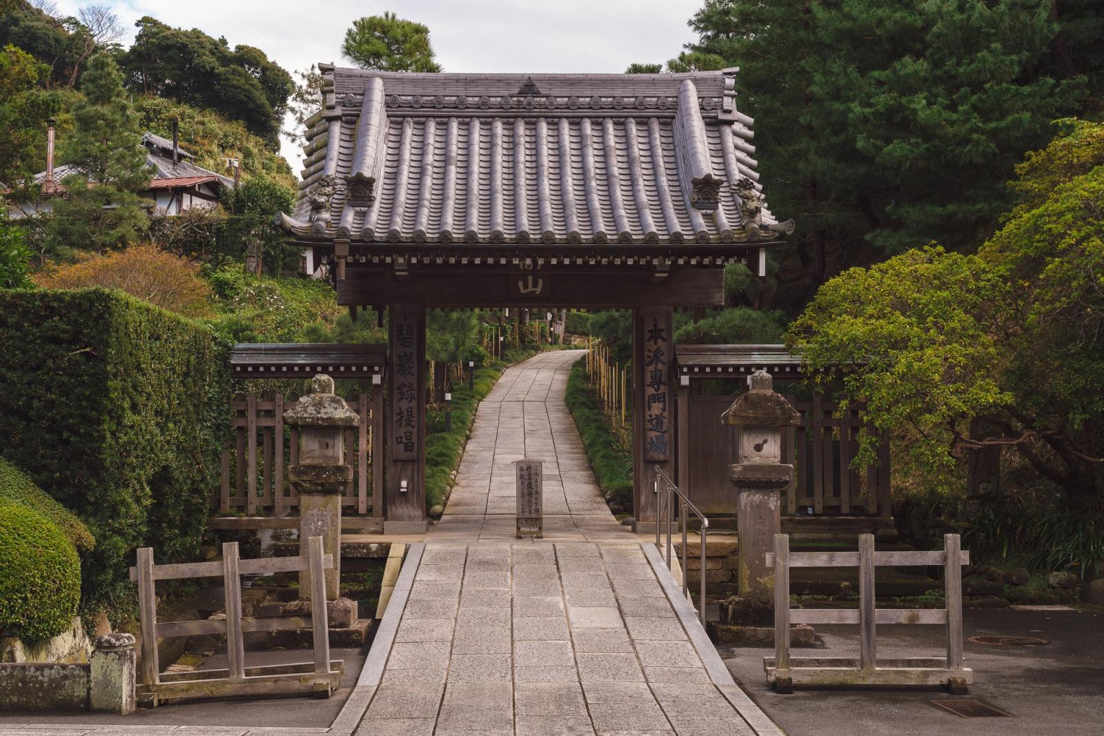 Explore the serene pathway leading to a traditional Japanese gate at Kencho-Ji Temple in Kamakura