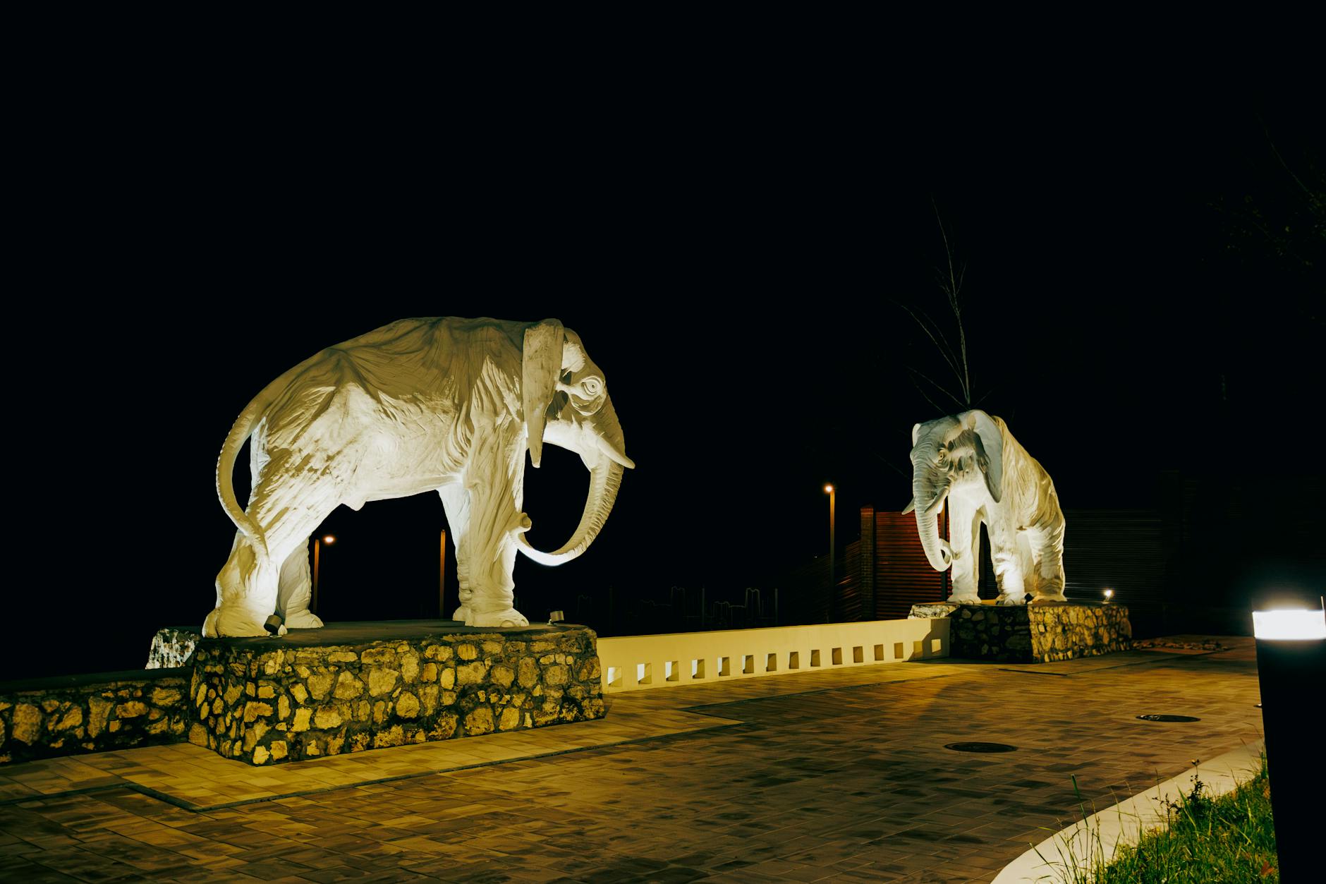Amboseli architecture at night