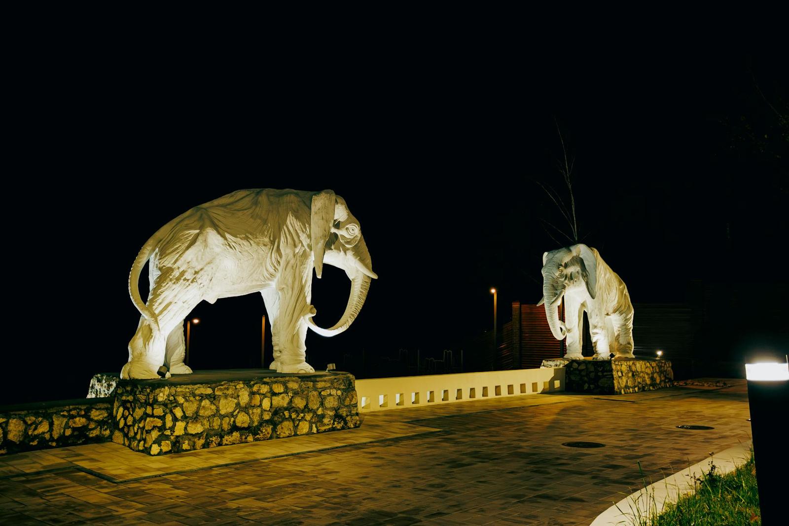 Two illuminated elephant statues flanking a driveway at night