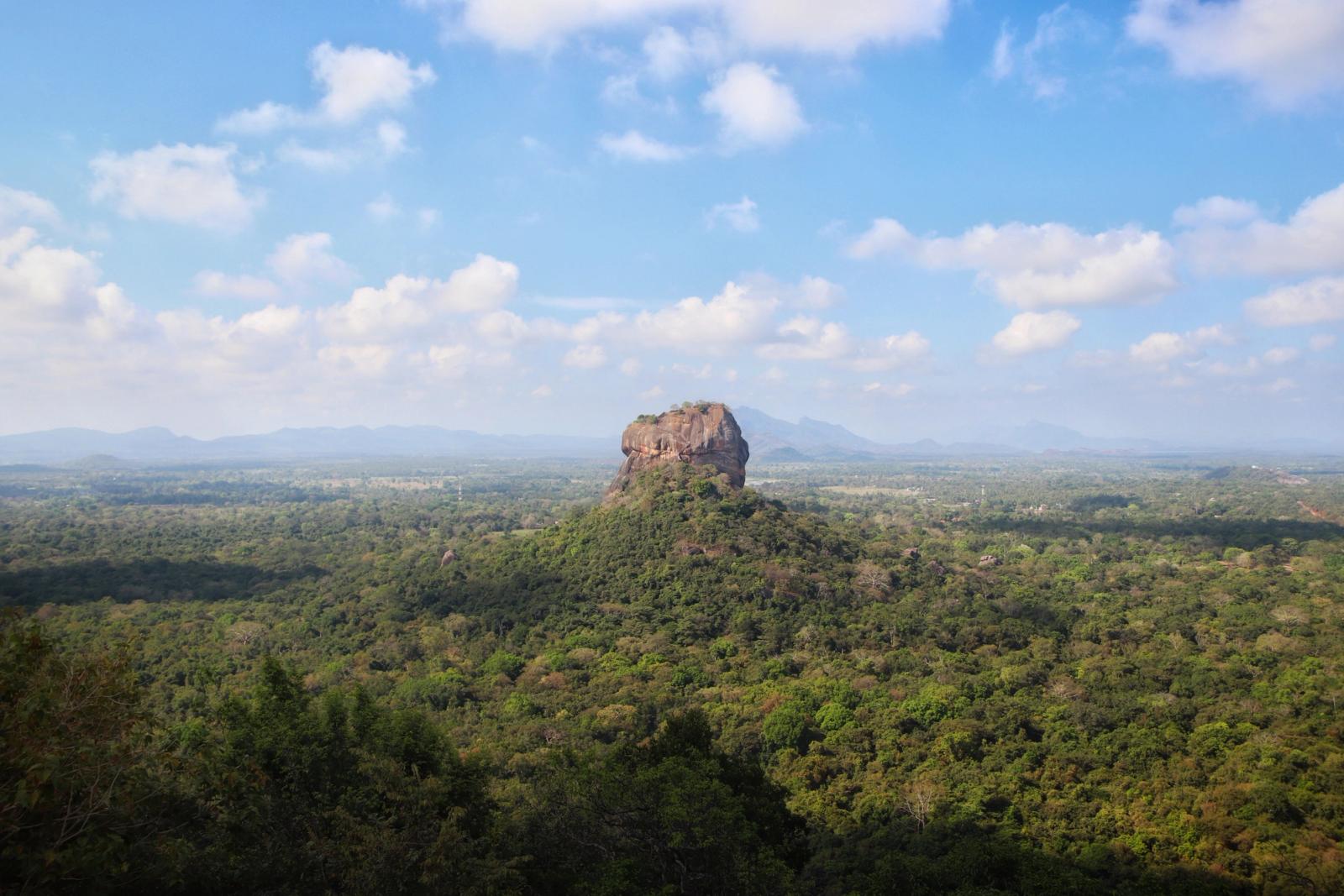 Flat-topped rock outcrop rising above dense forest under a bright sky