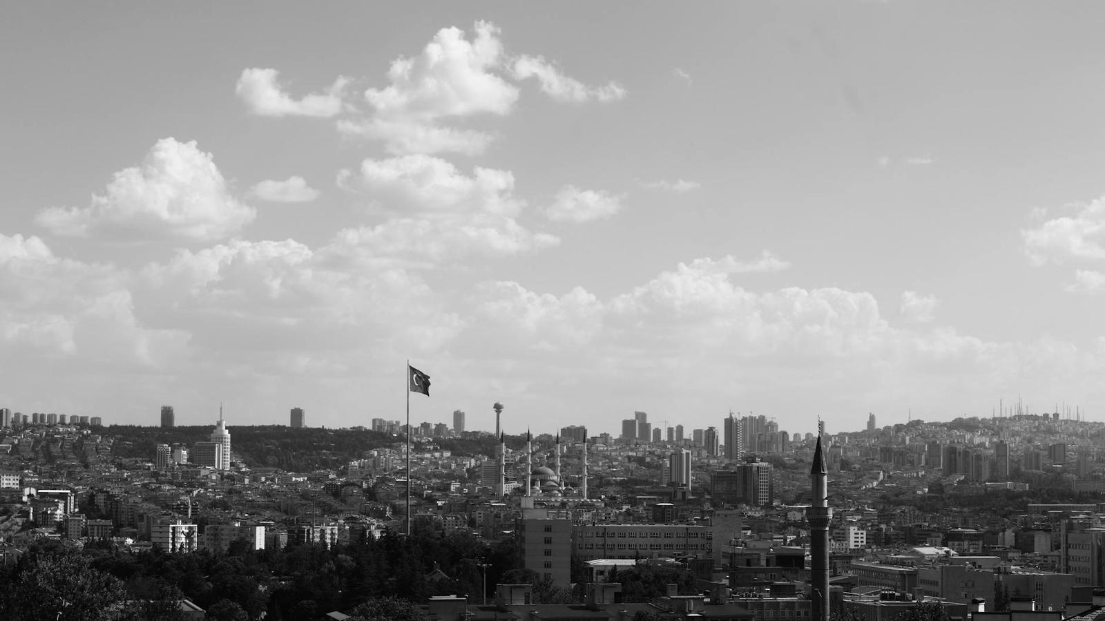 A black and white skyline with a large flag and mosque minarets among rooftops