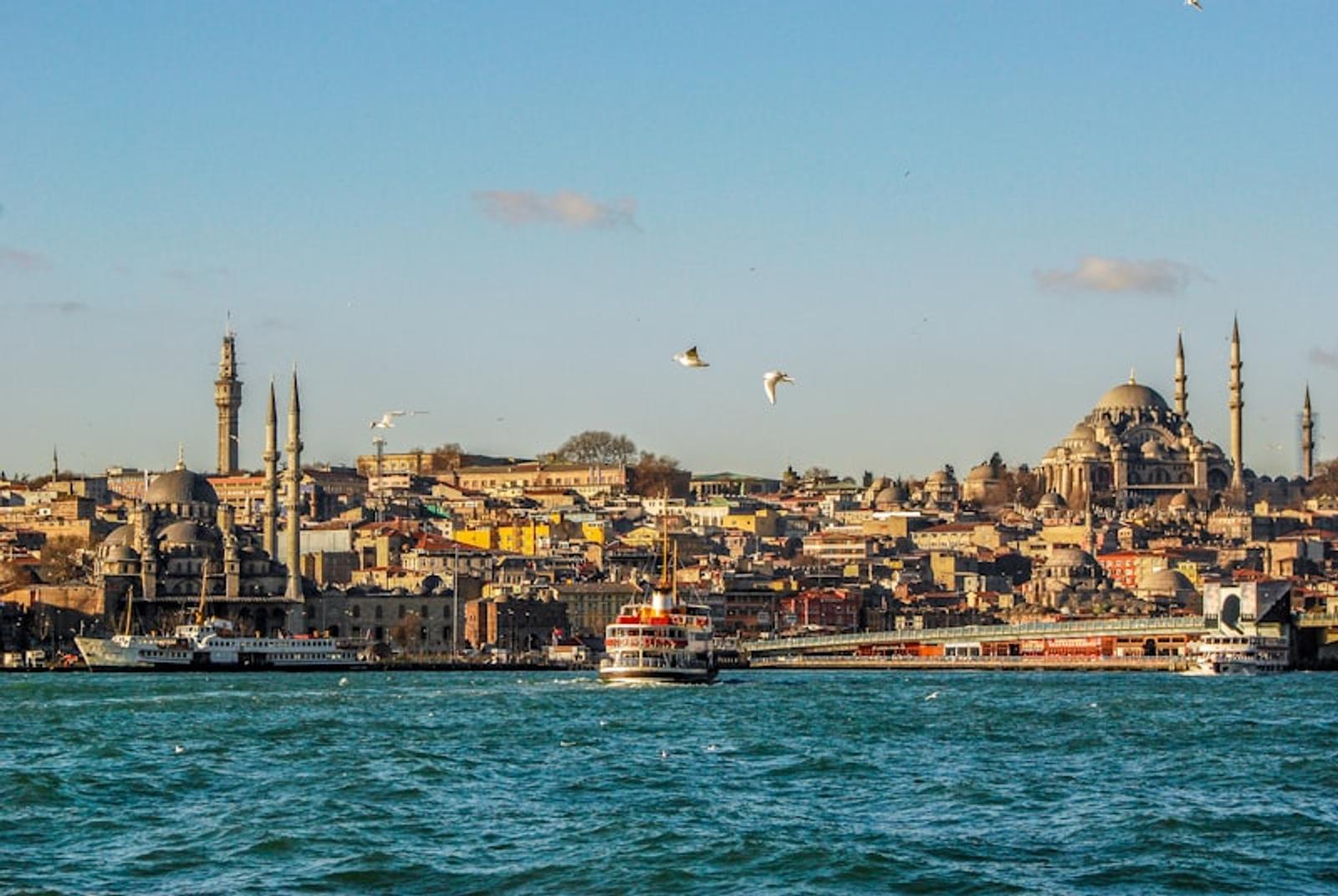 Istanbul tulips